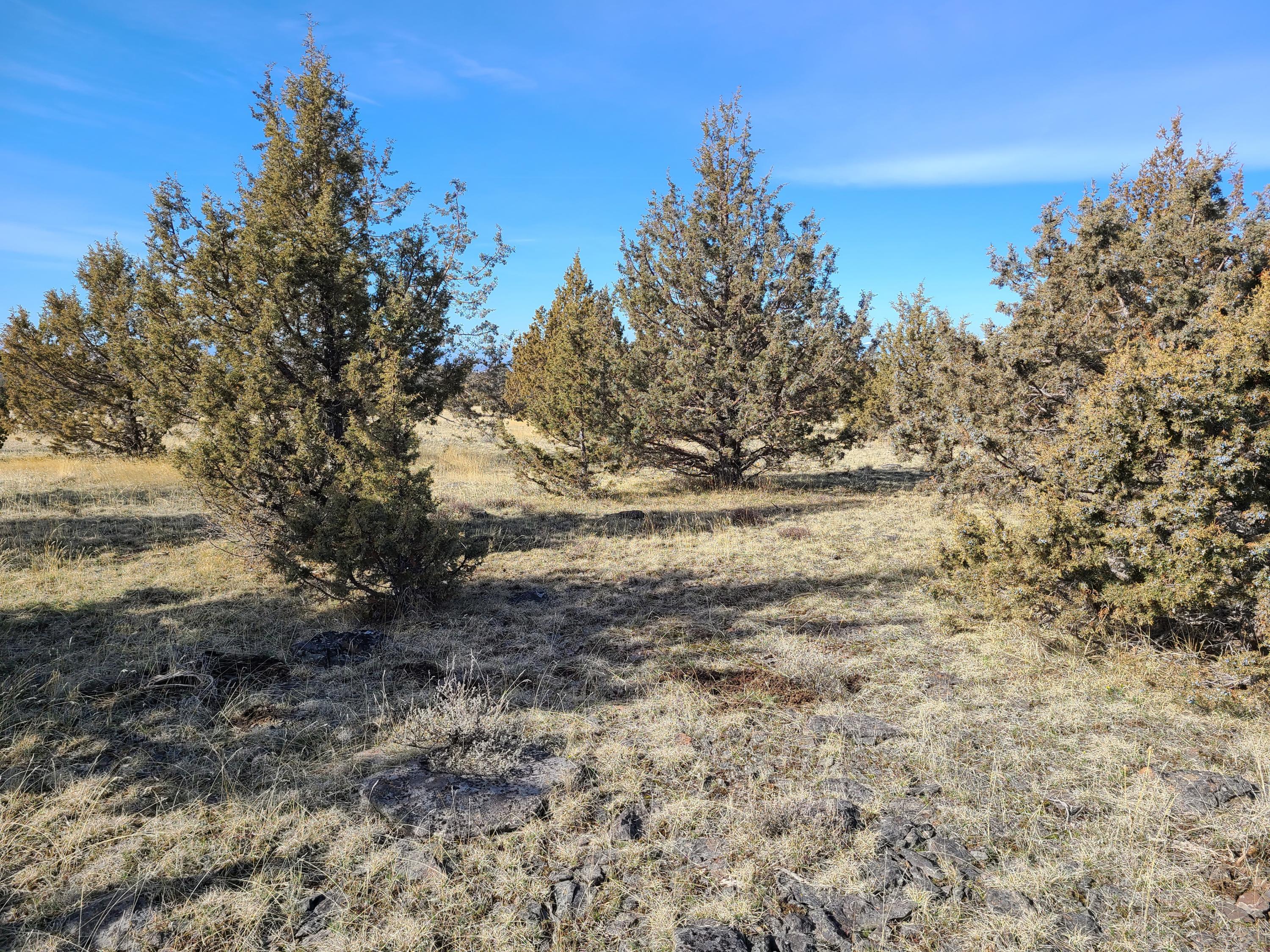 Ochoco Land + Livest - Land