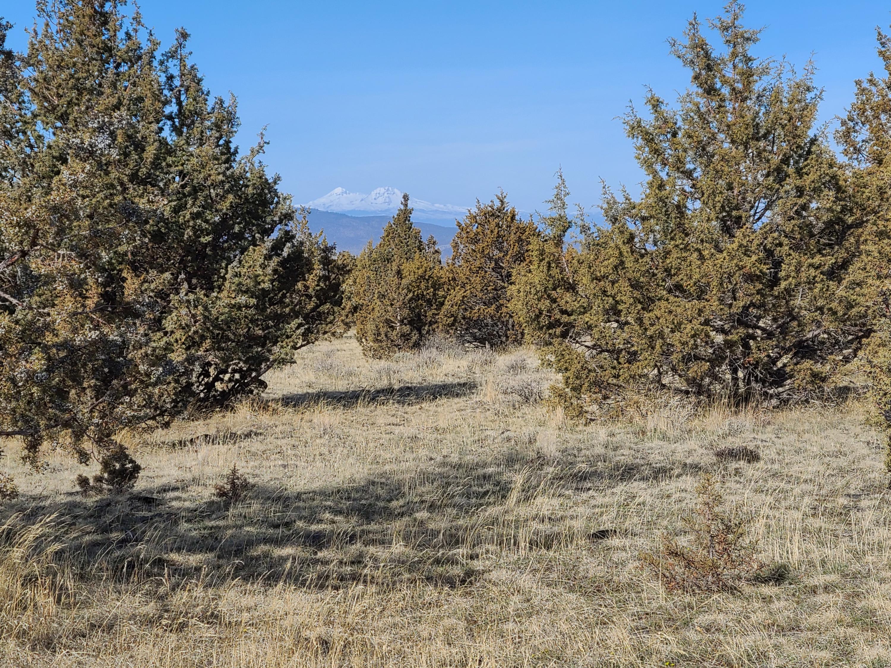 Ochoco Land + Livest - Land