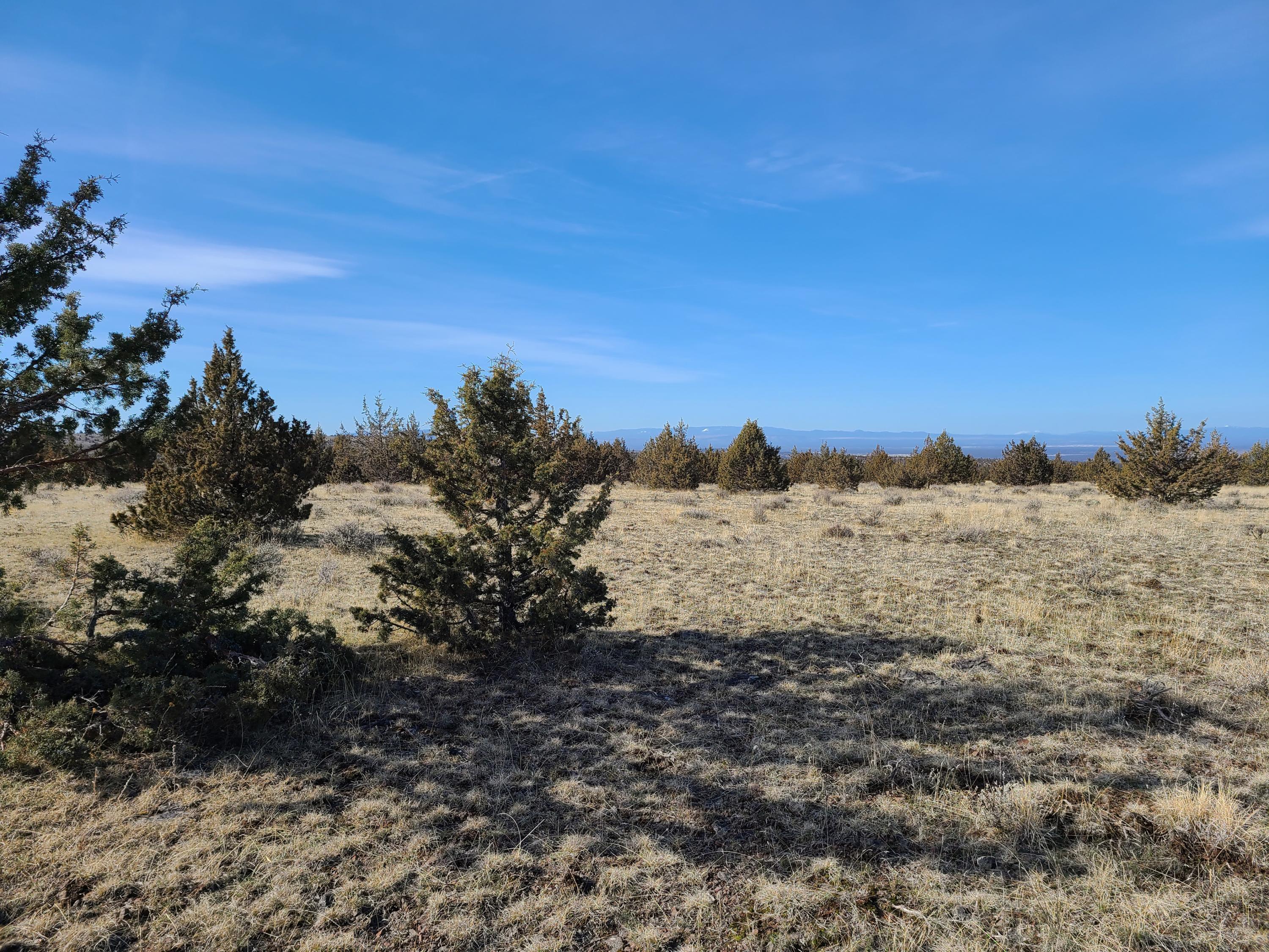 Ochoco Land + Livest - Land