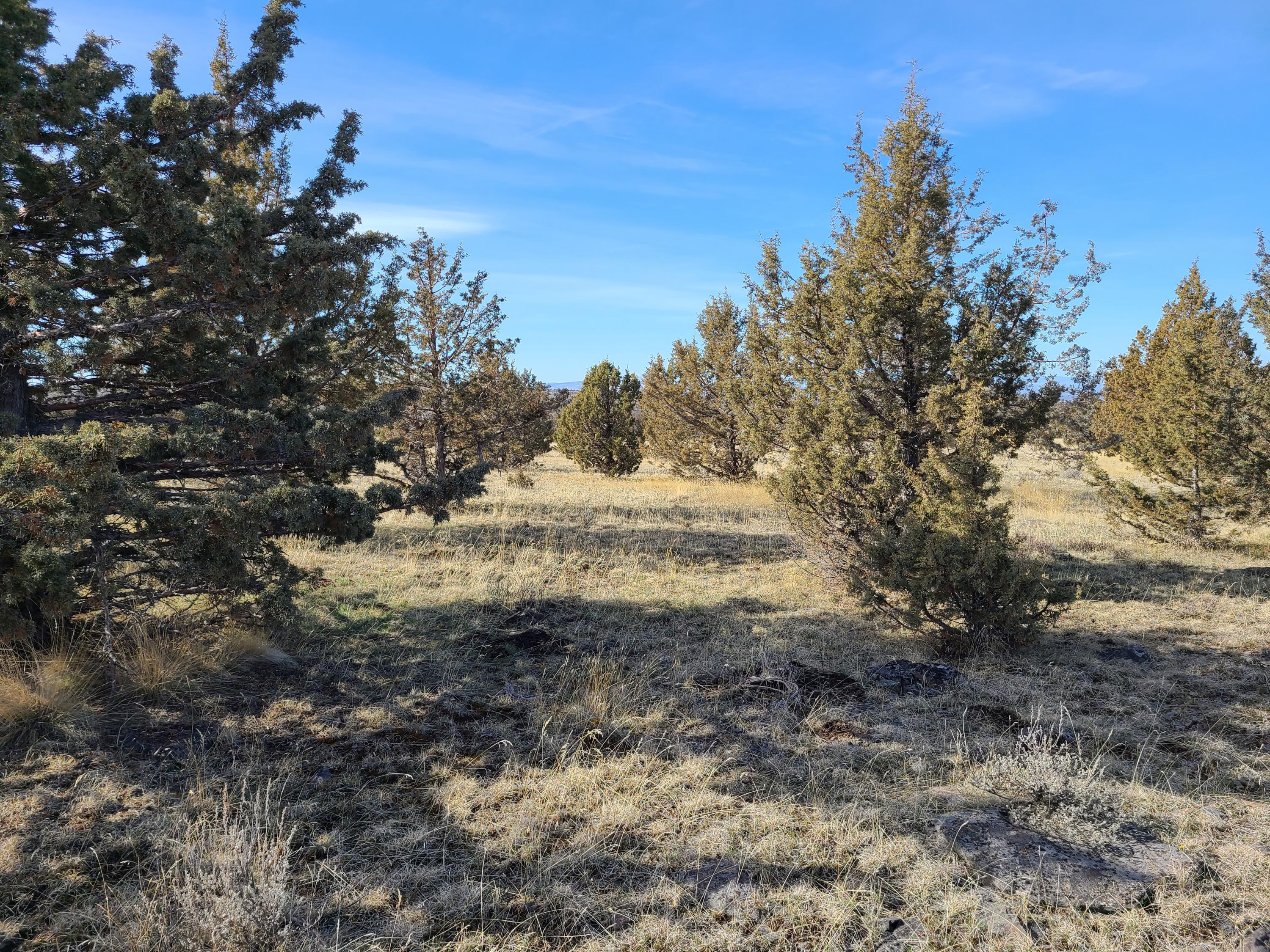 Ochoco Land + Livest - Land