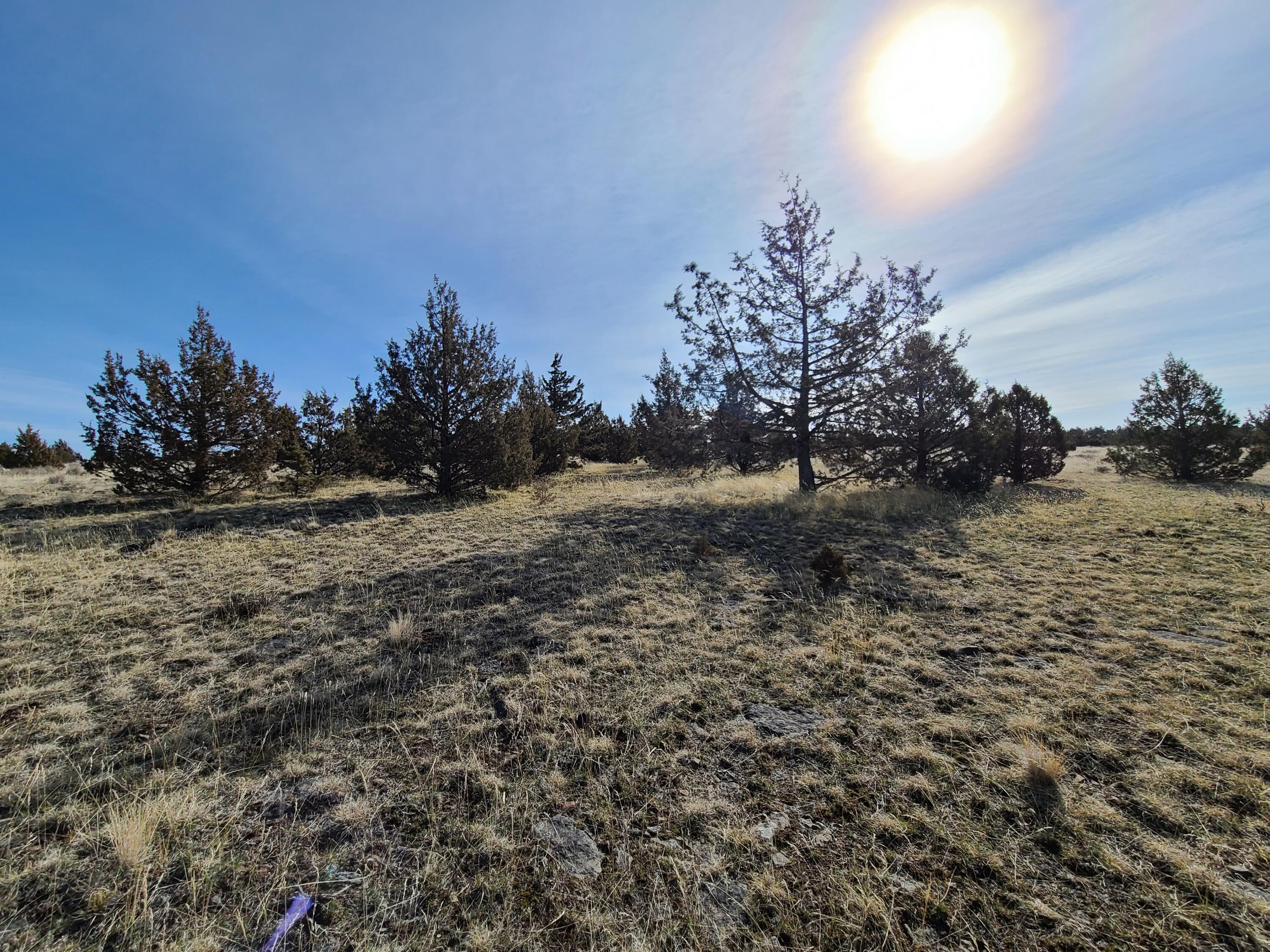 Ochoco Land + Livest - Land