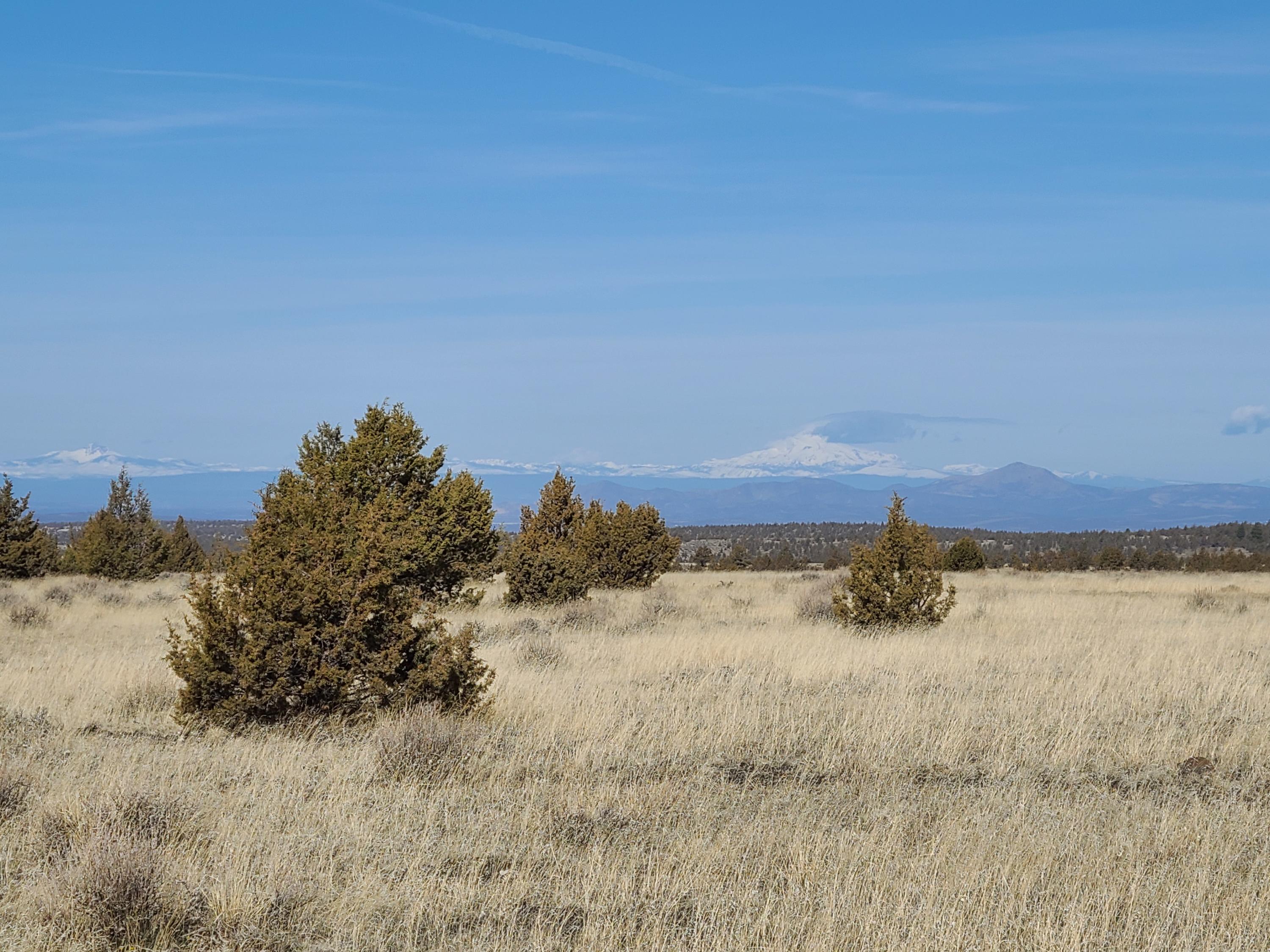 Ochoco Land + Livest - Land