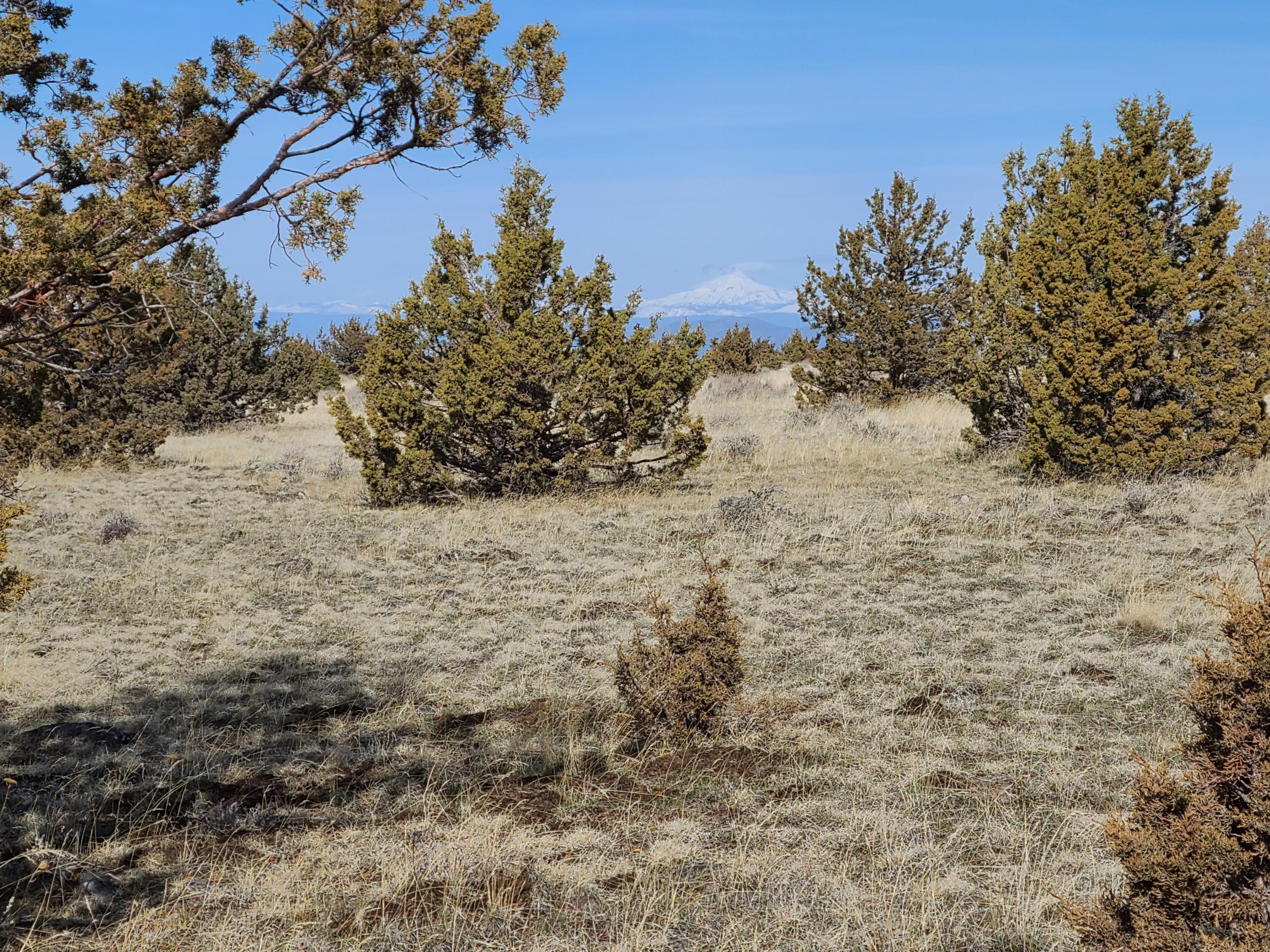 Ochoco Land + Livest - Land