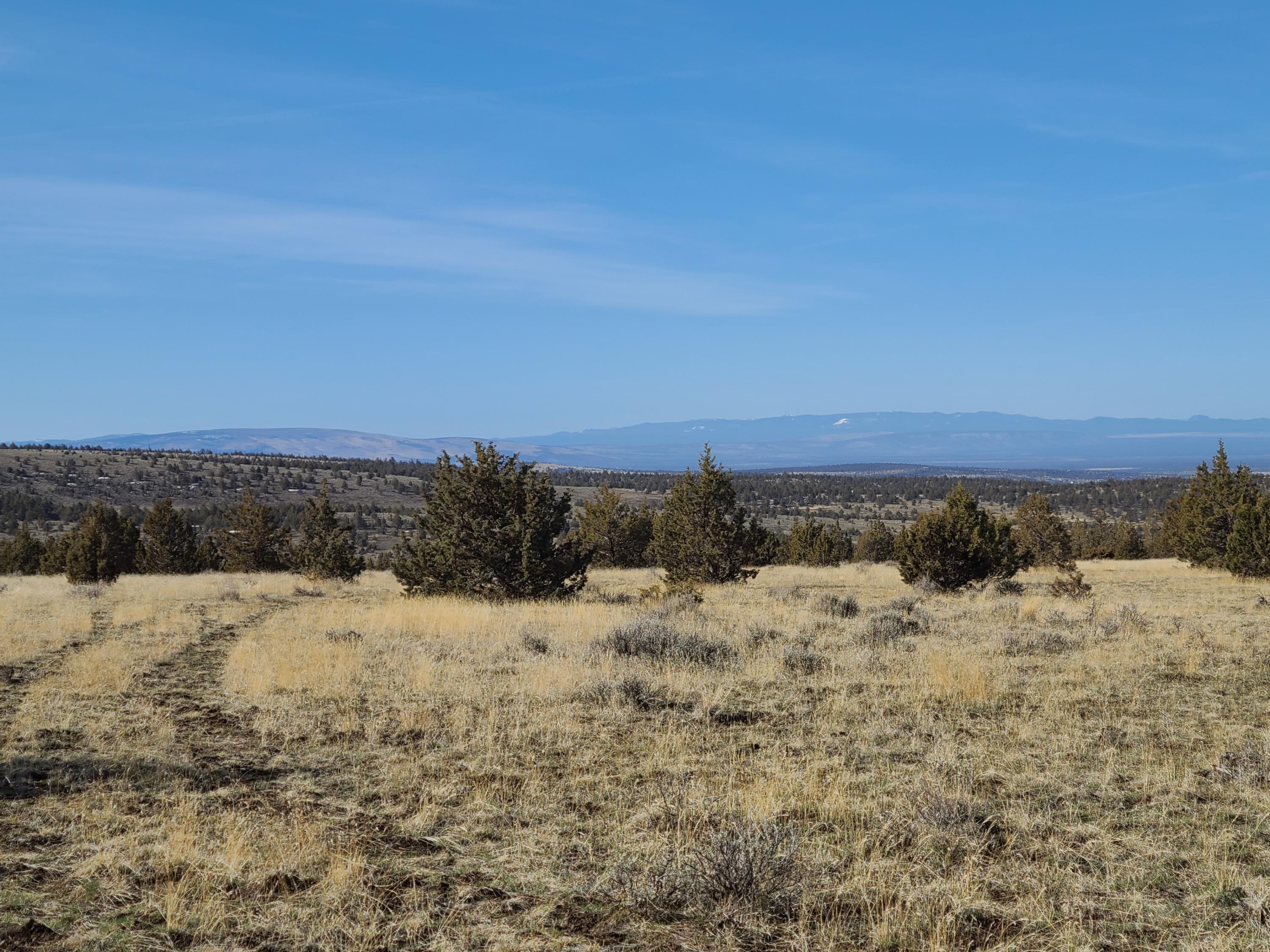 Ochoco Land + Livest - Land