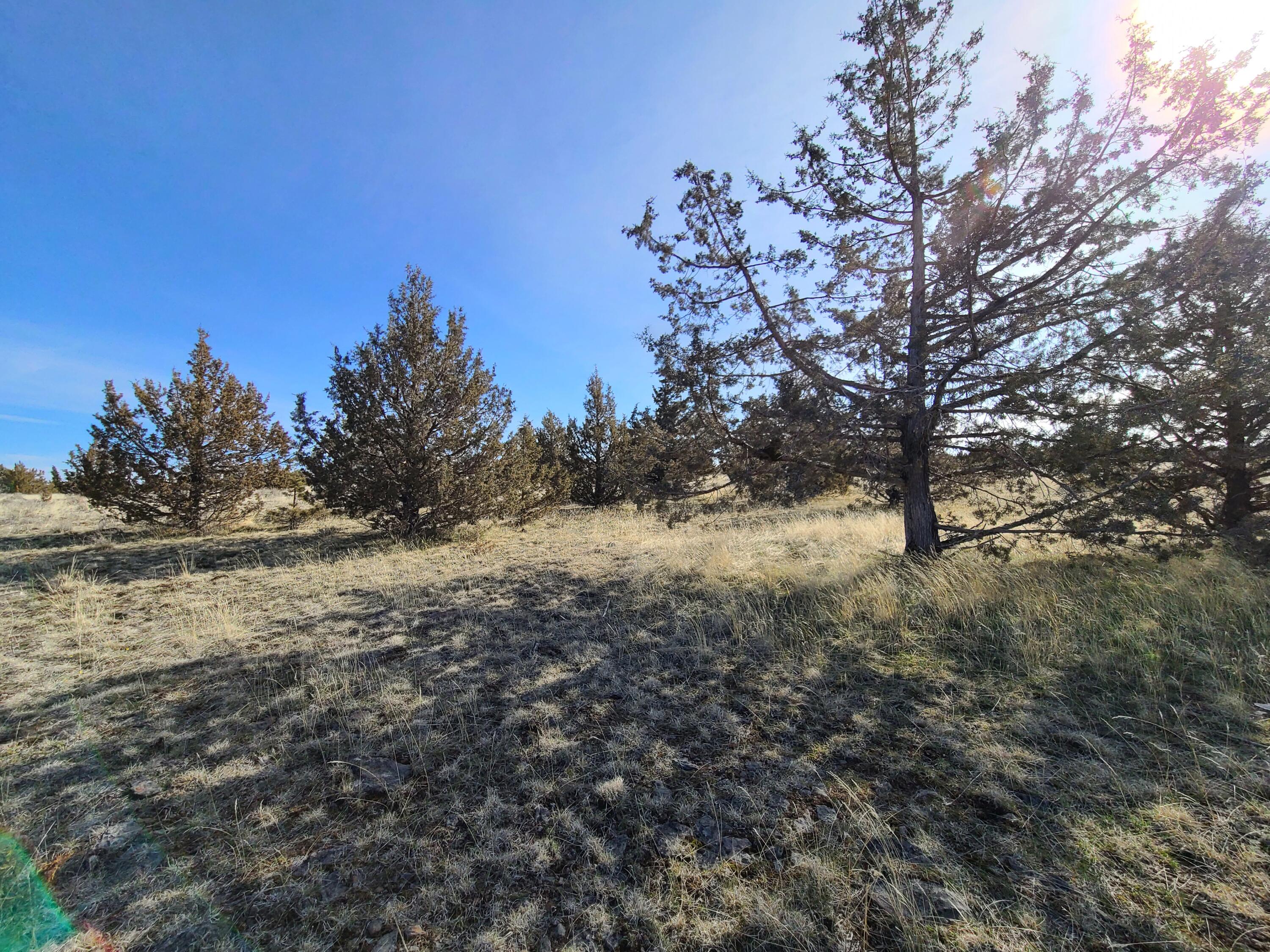 Ochoco Land + Livest - Land