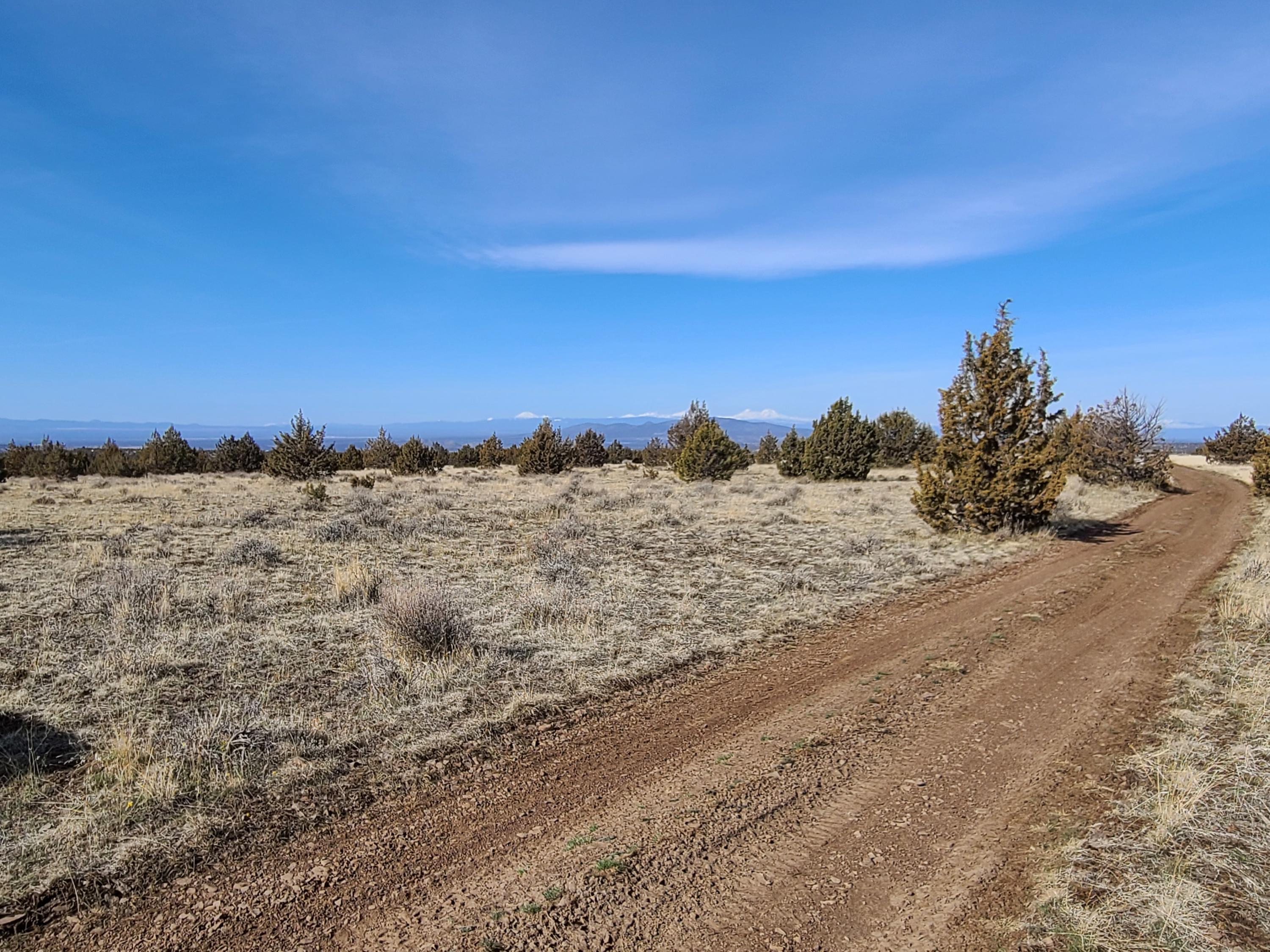 Ochoco Land + Livest - Land