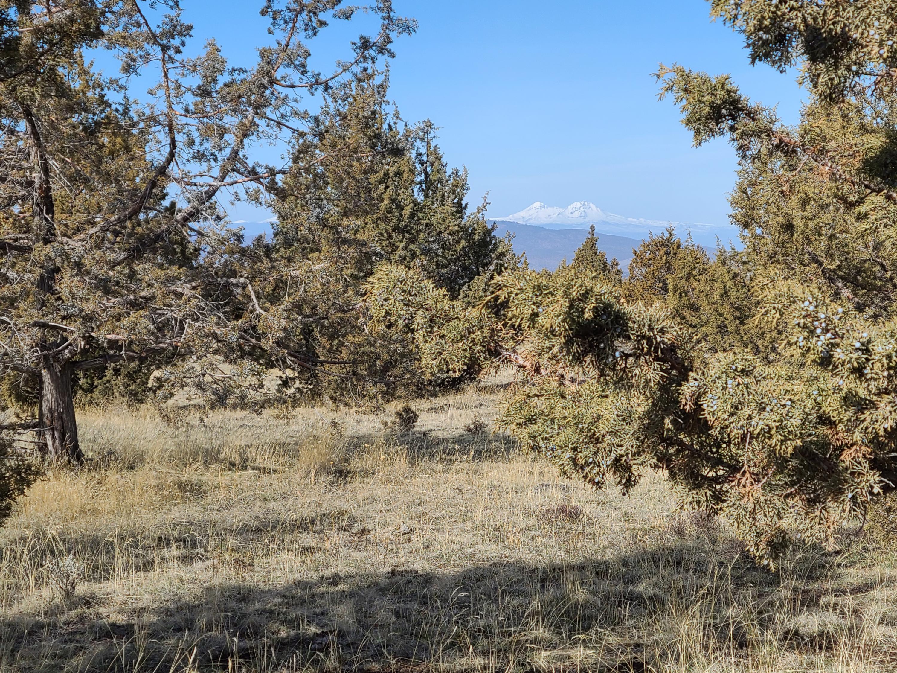 Ochoco Land + Livest - Land