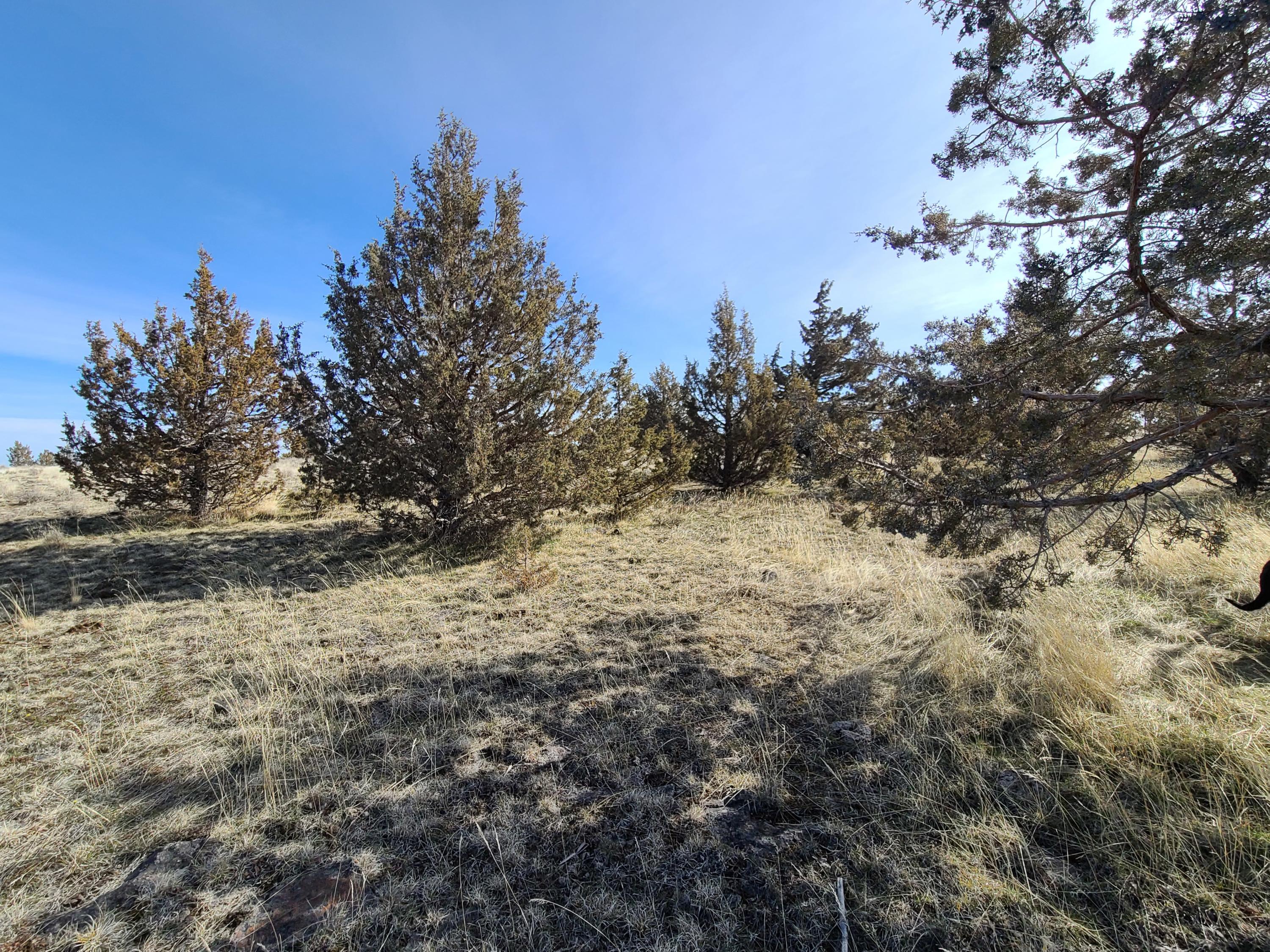 Ochoco Land + Livest - Land