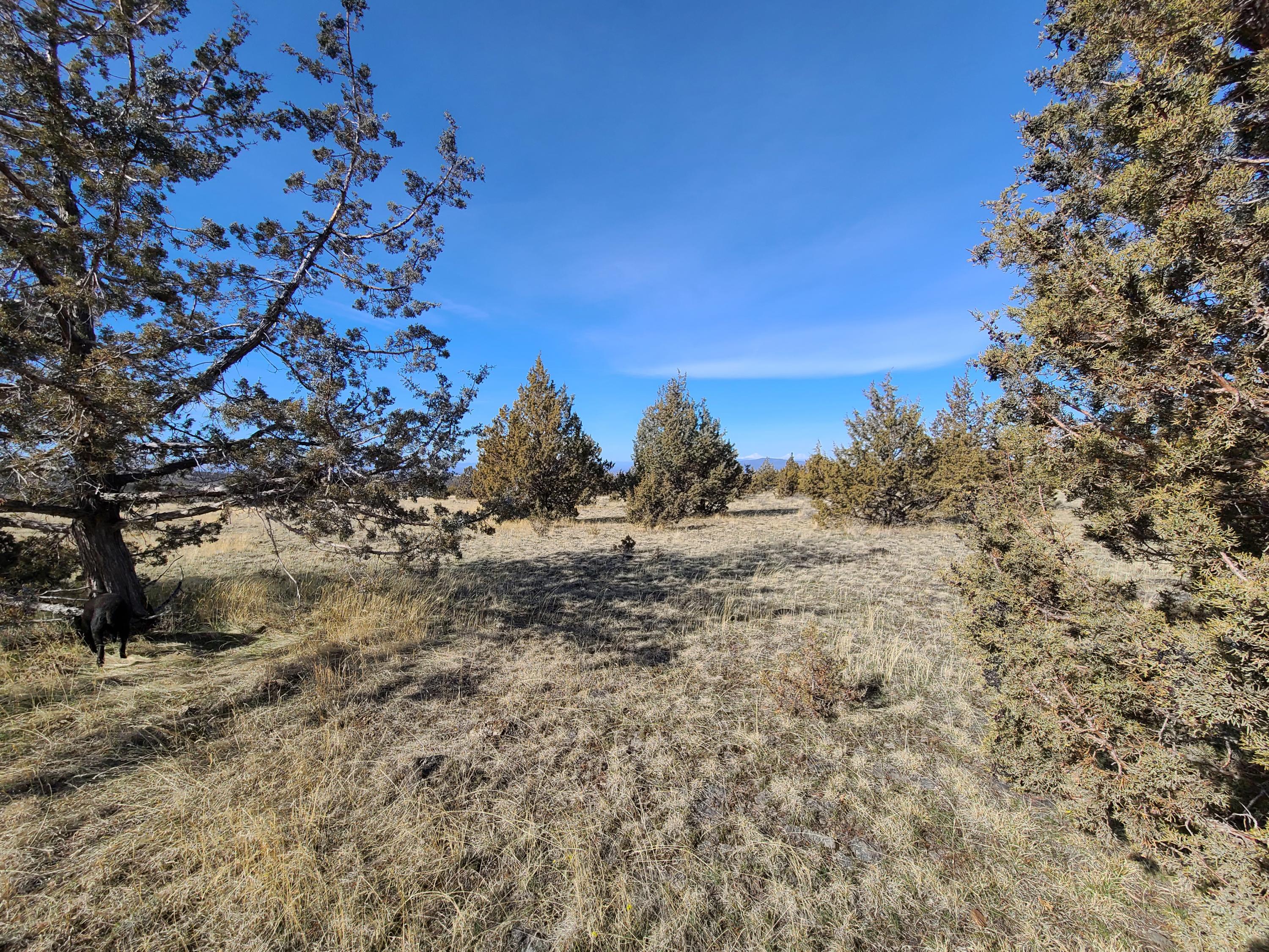 Ochoco Land + Livest - Land