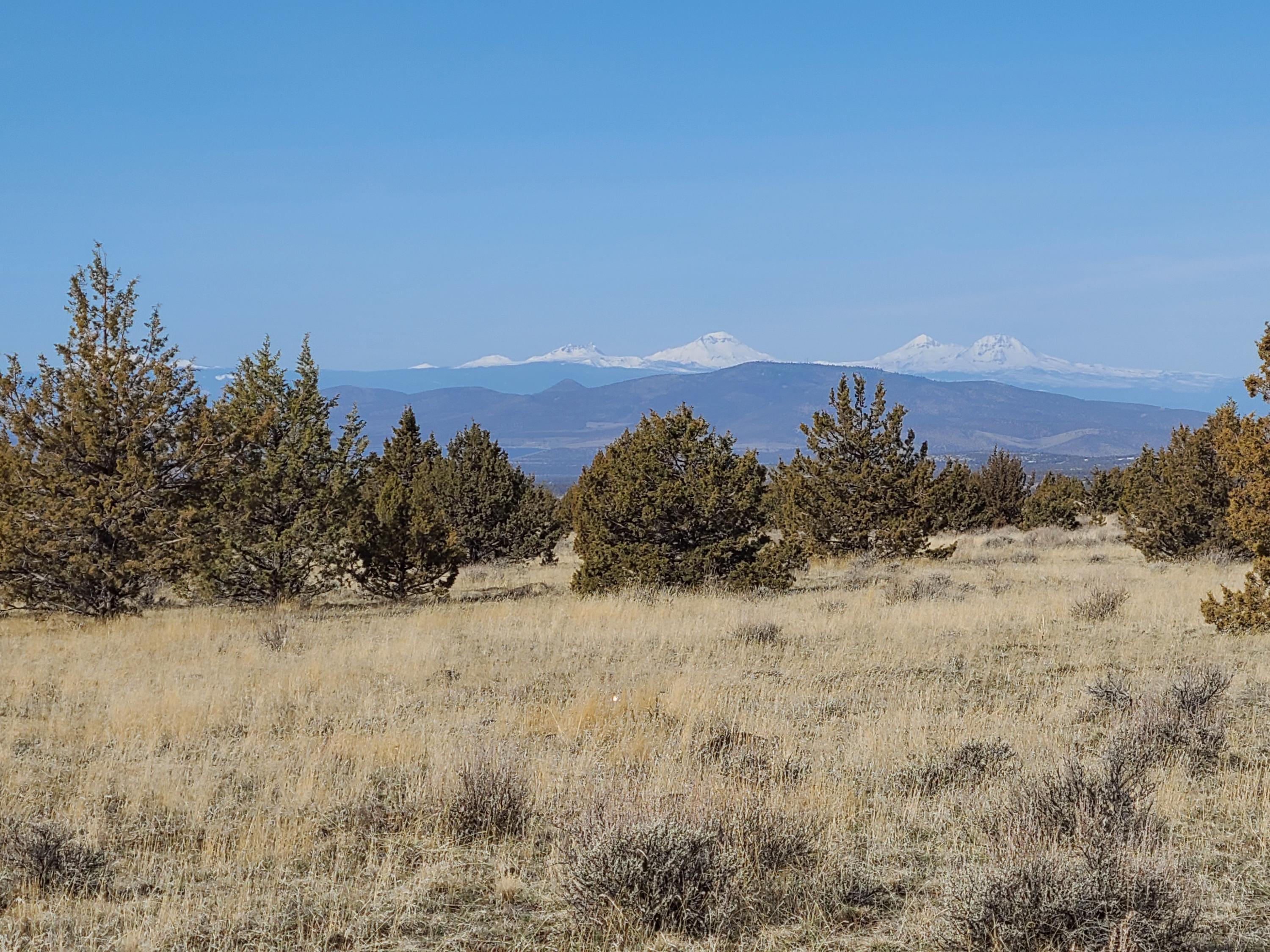 Ochoco Land + Livest - Land