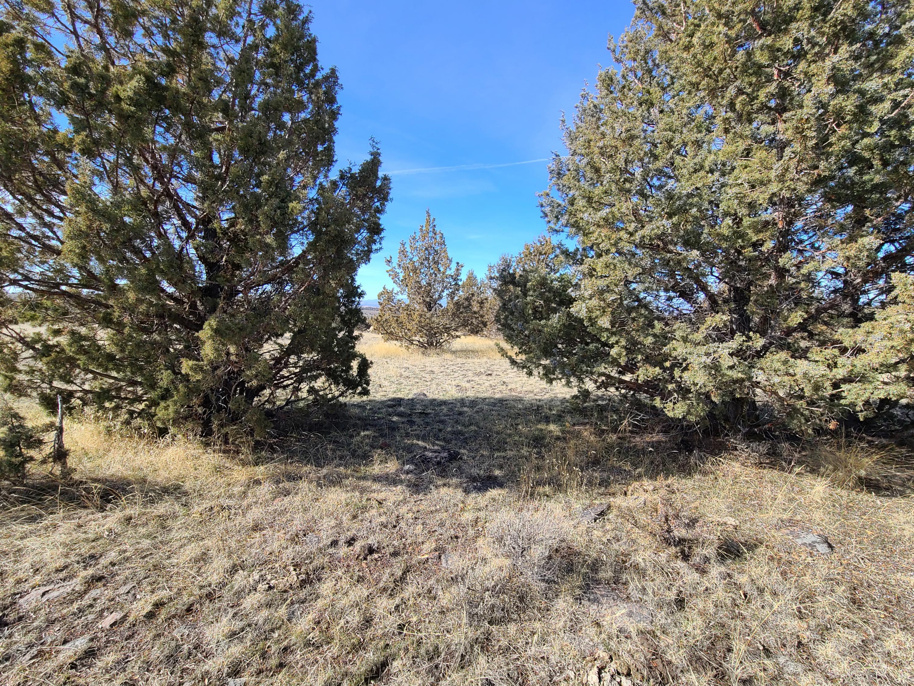 Ochoco Land + Livest - Land