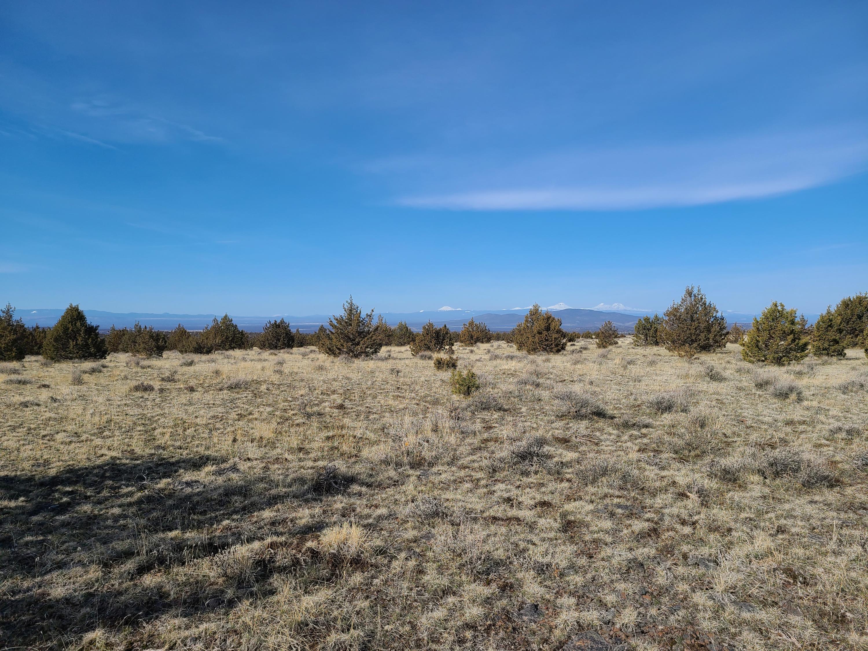 Ochoco Land + Livest - Land