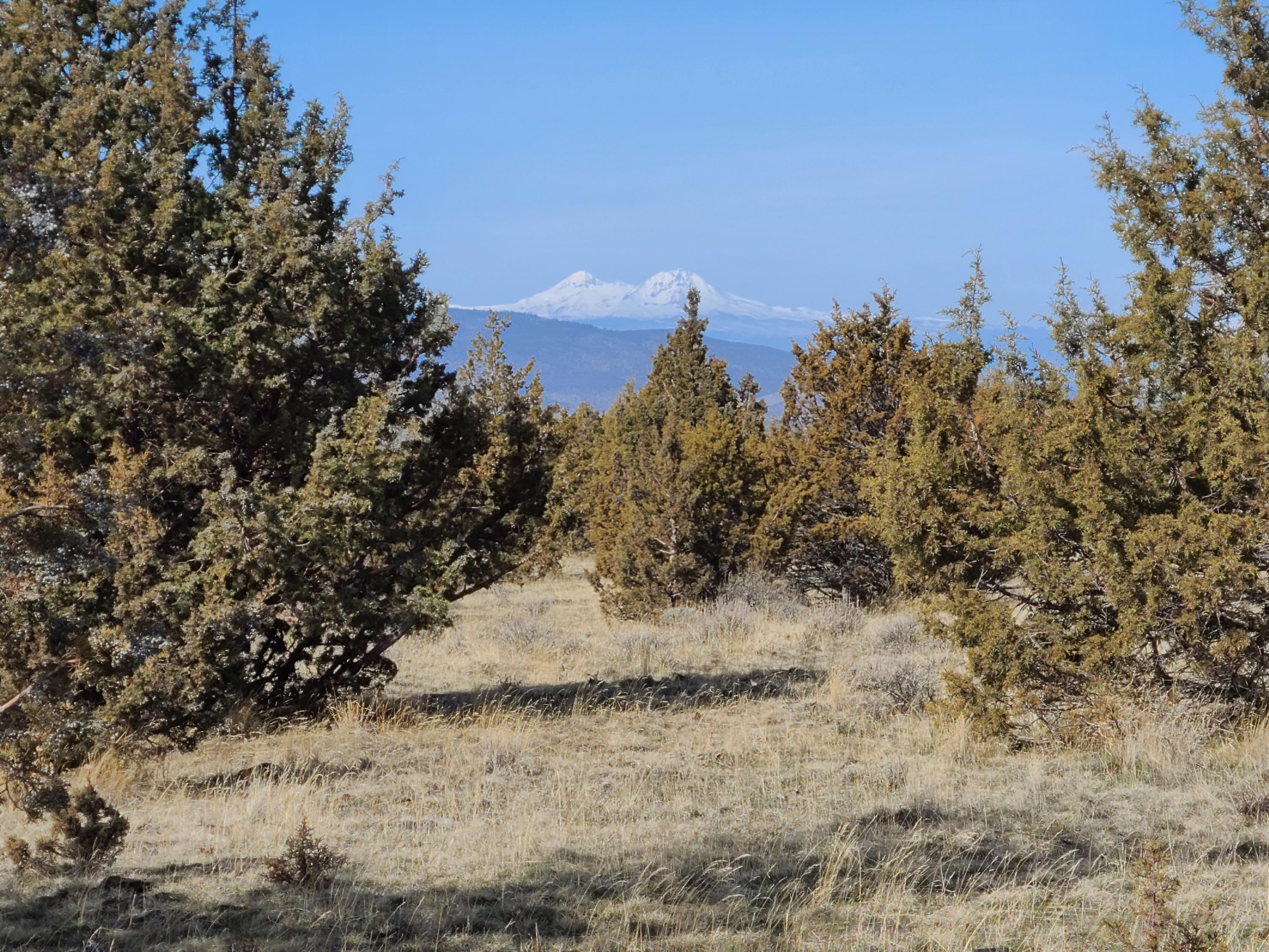 Ochoco Land + Livest - Land