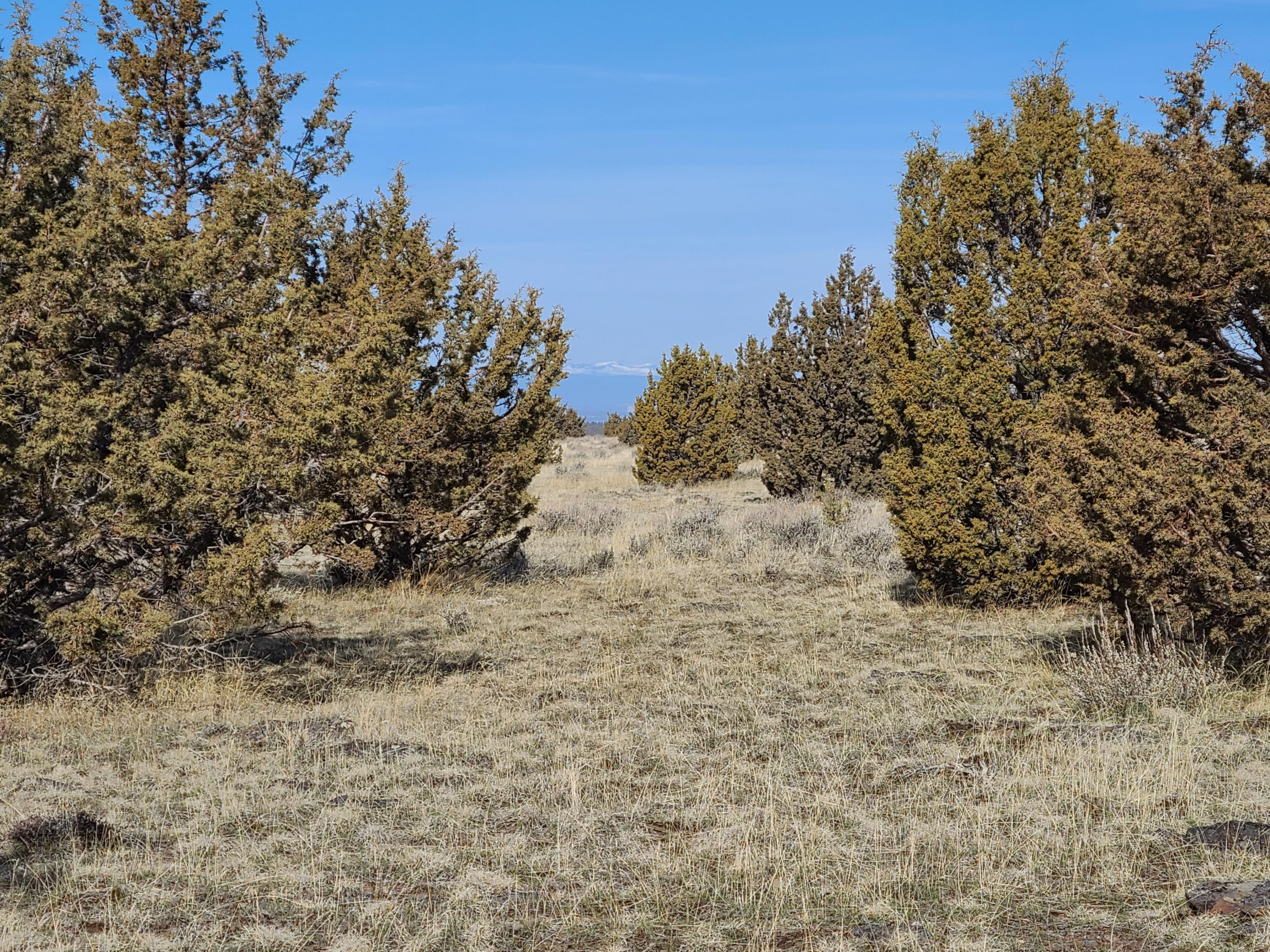 Ochoco Land + Livest - Land