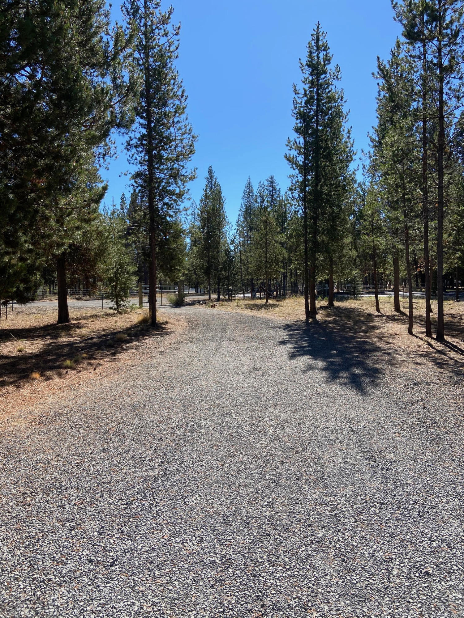 Tall Pines - Residential