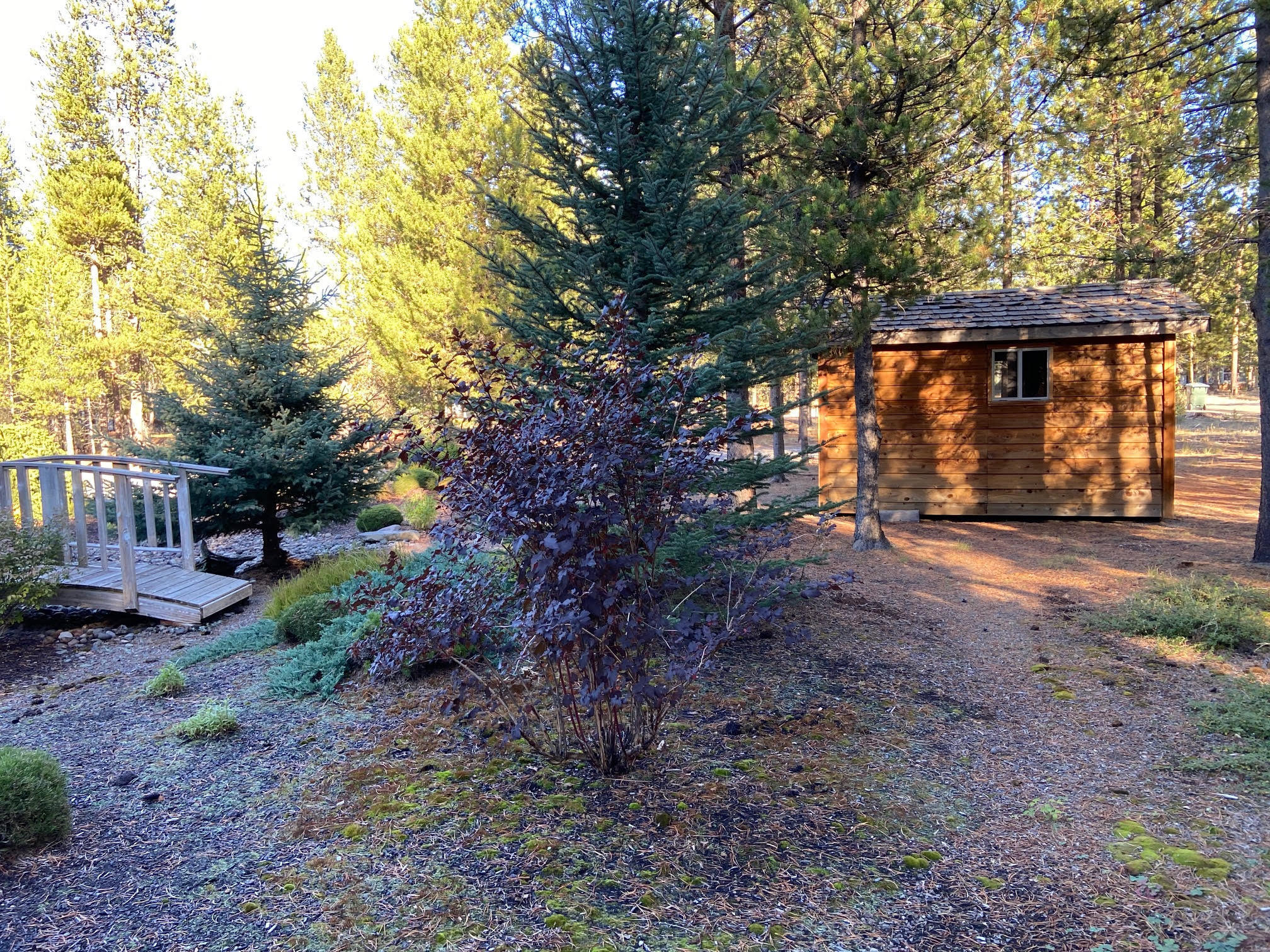 Tall Pines - Residential
