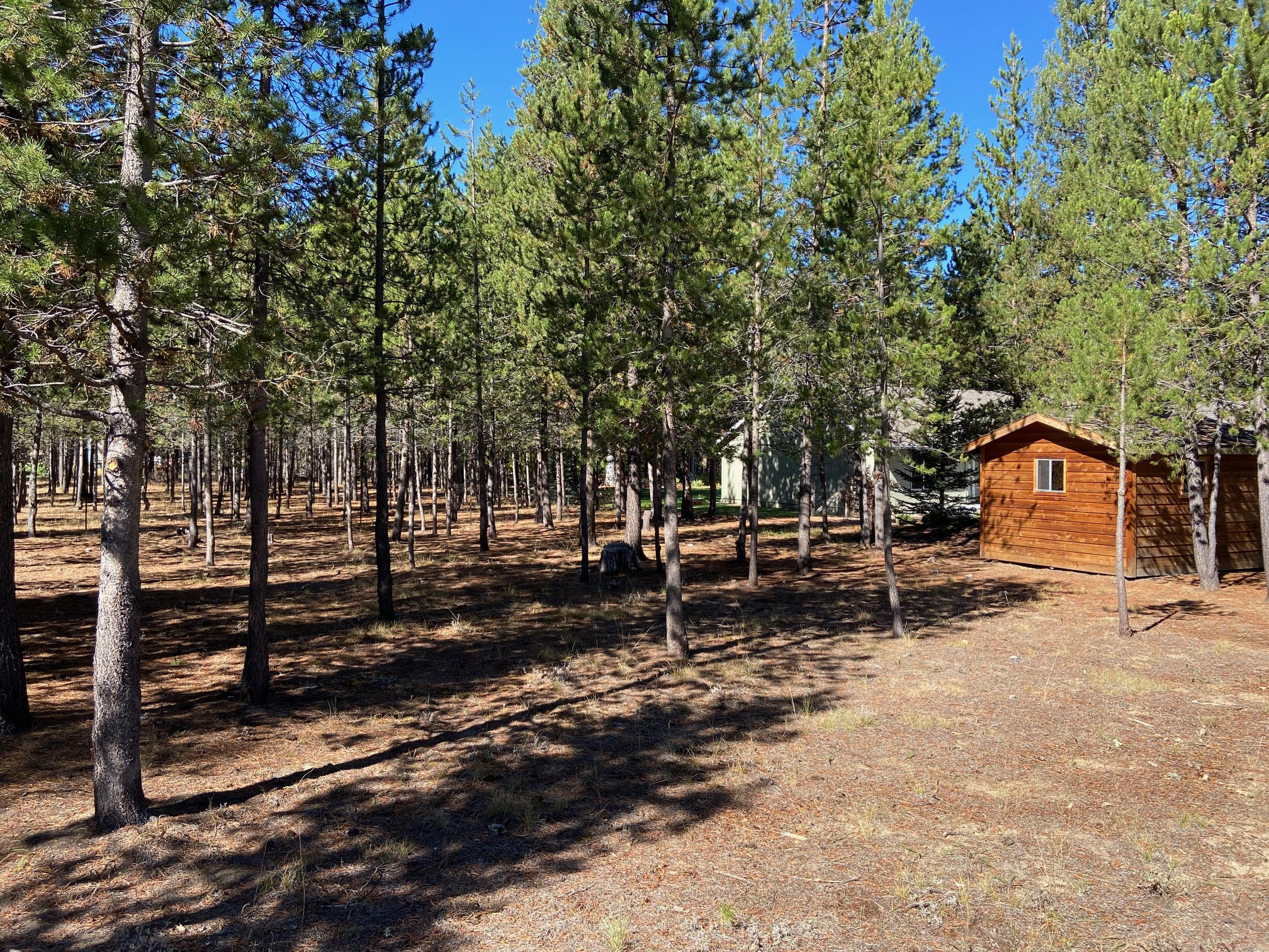 Tall Pines - Residential