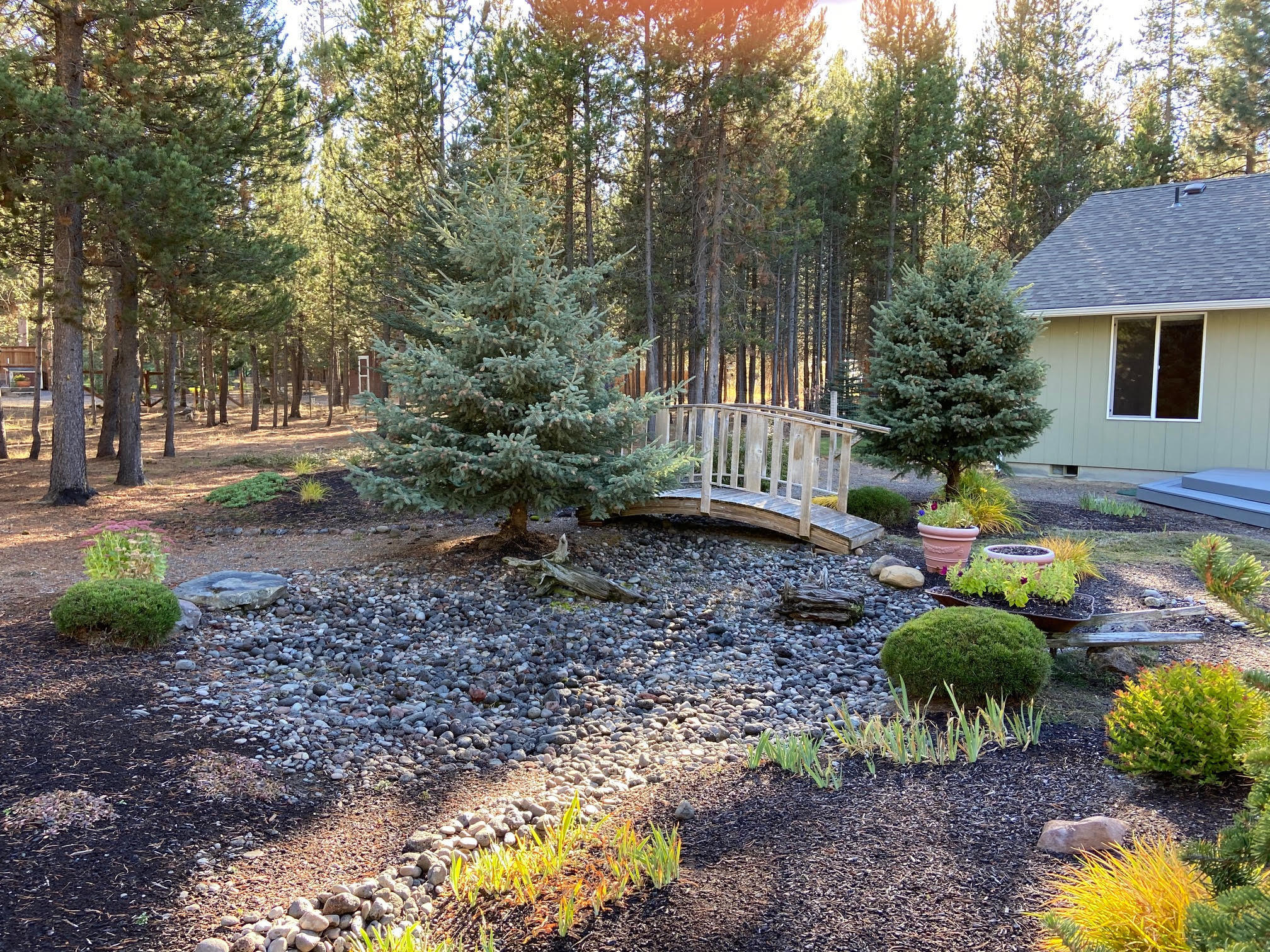 Tall Pines - Residential