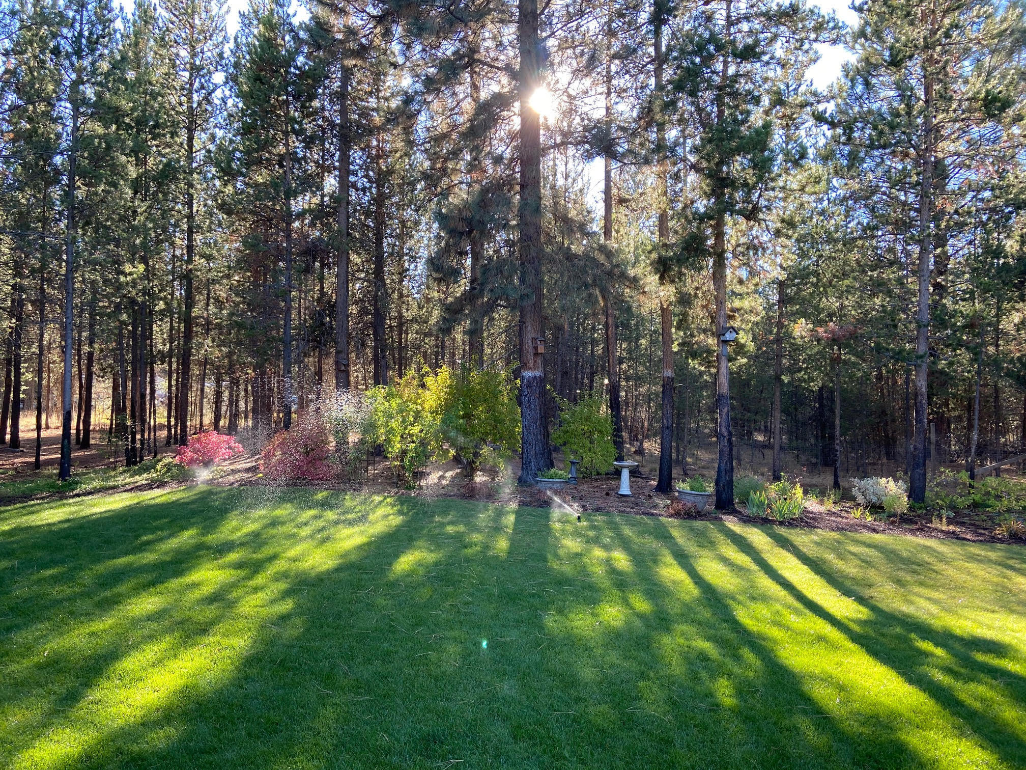Tall Pines - Residential