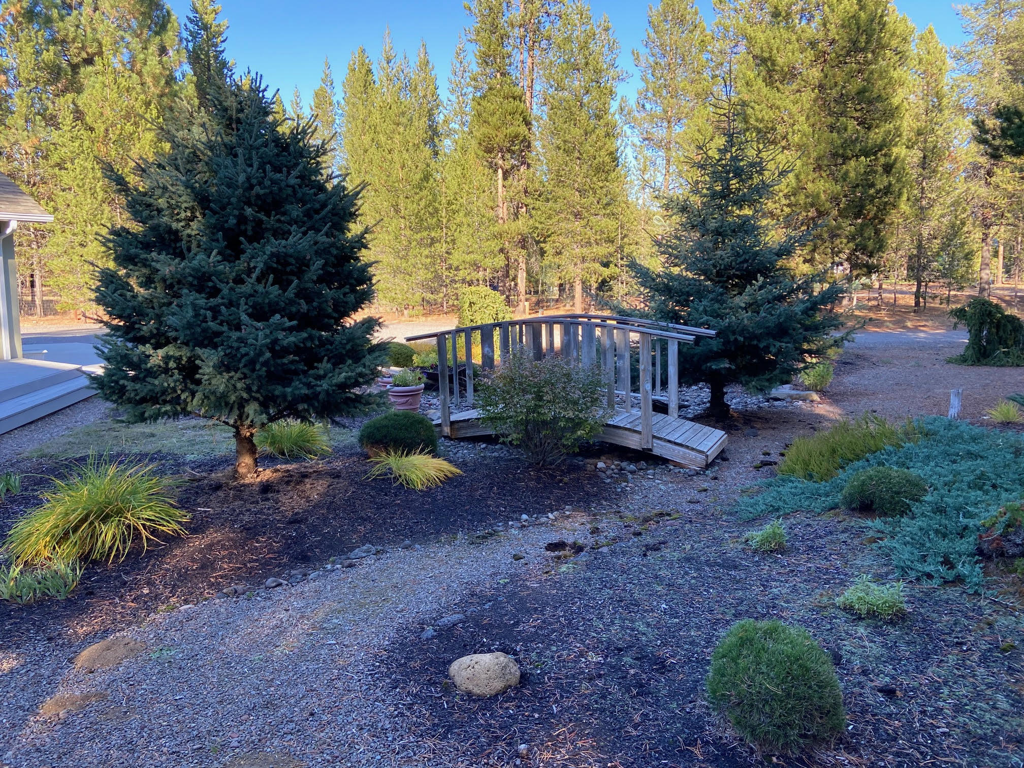 Tall Pines - Residential