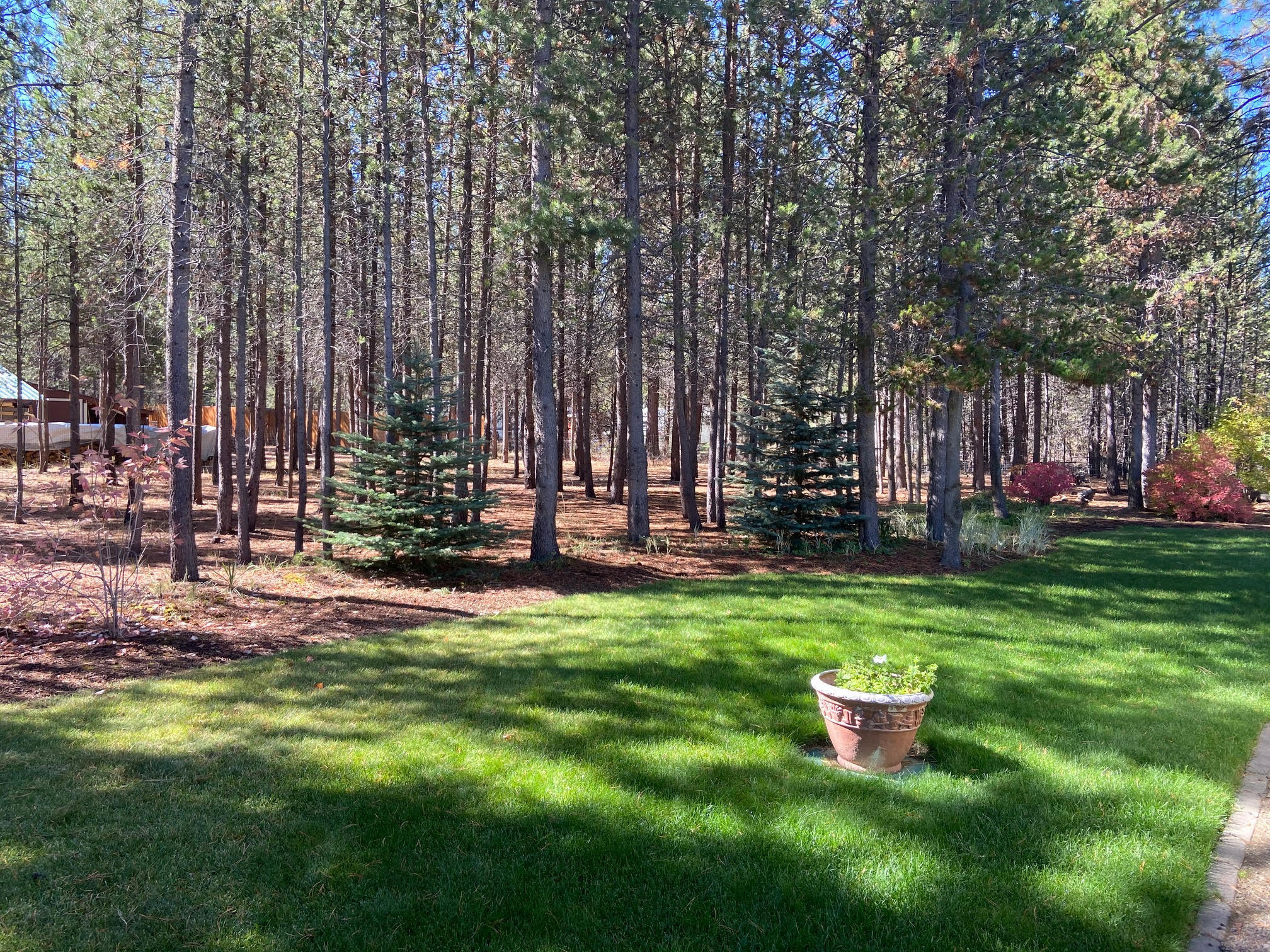 Tall Pines - Residential