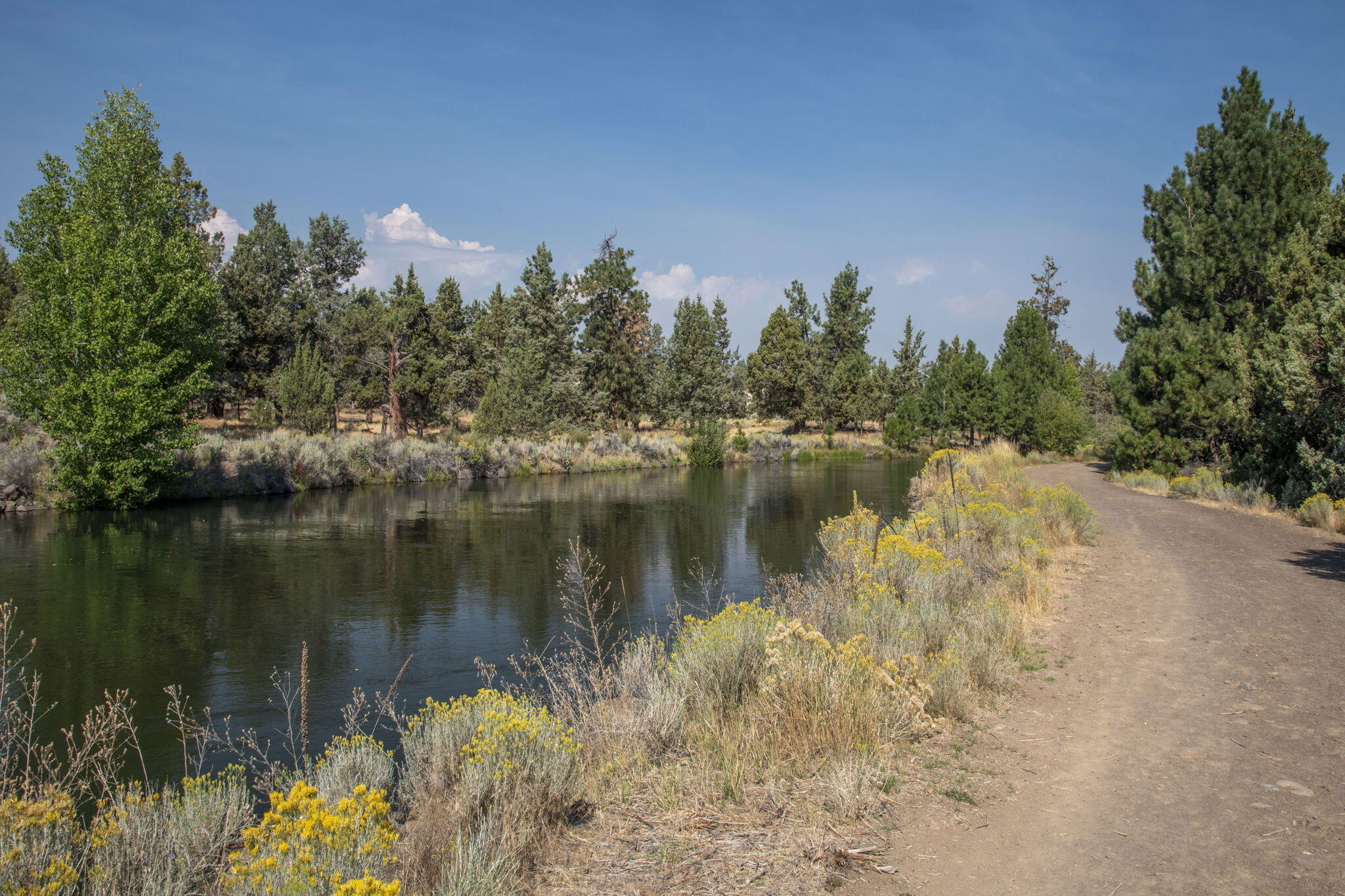 Nottingham Square - Residential