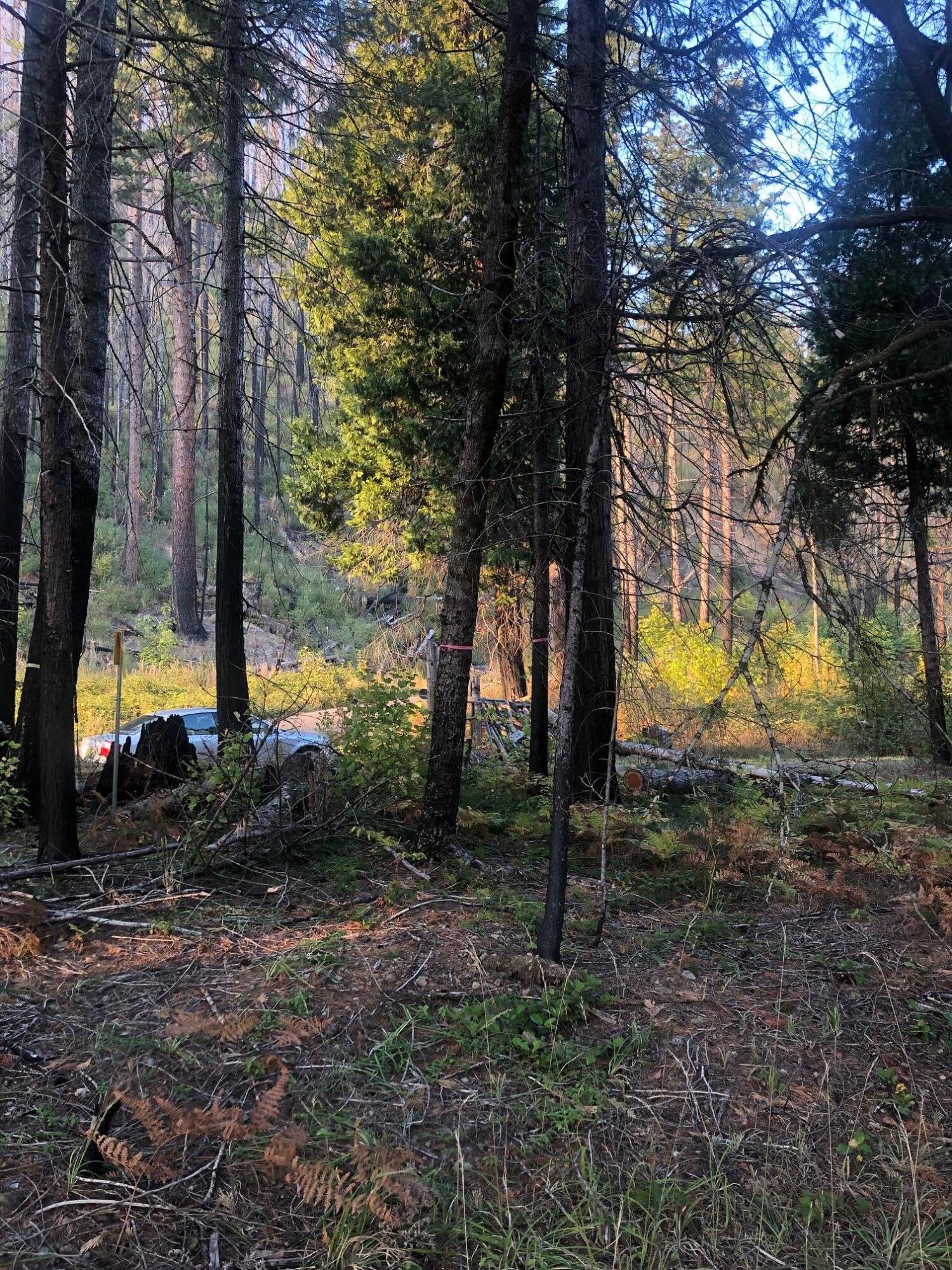 91591 Blue River Reservoir Road