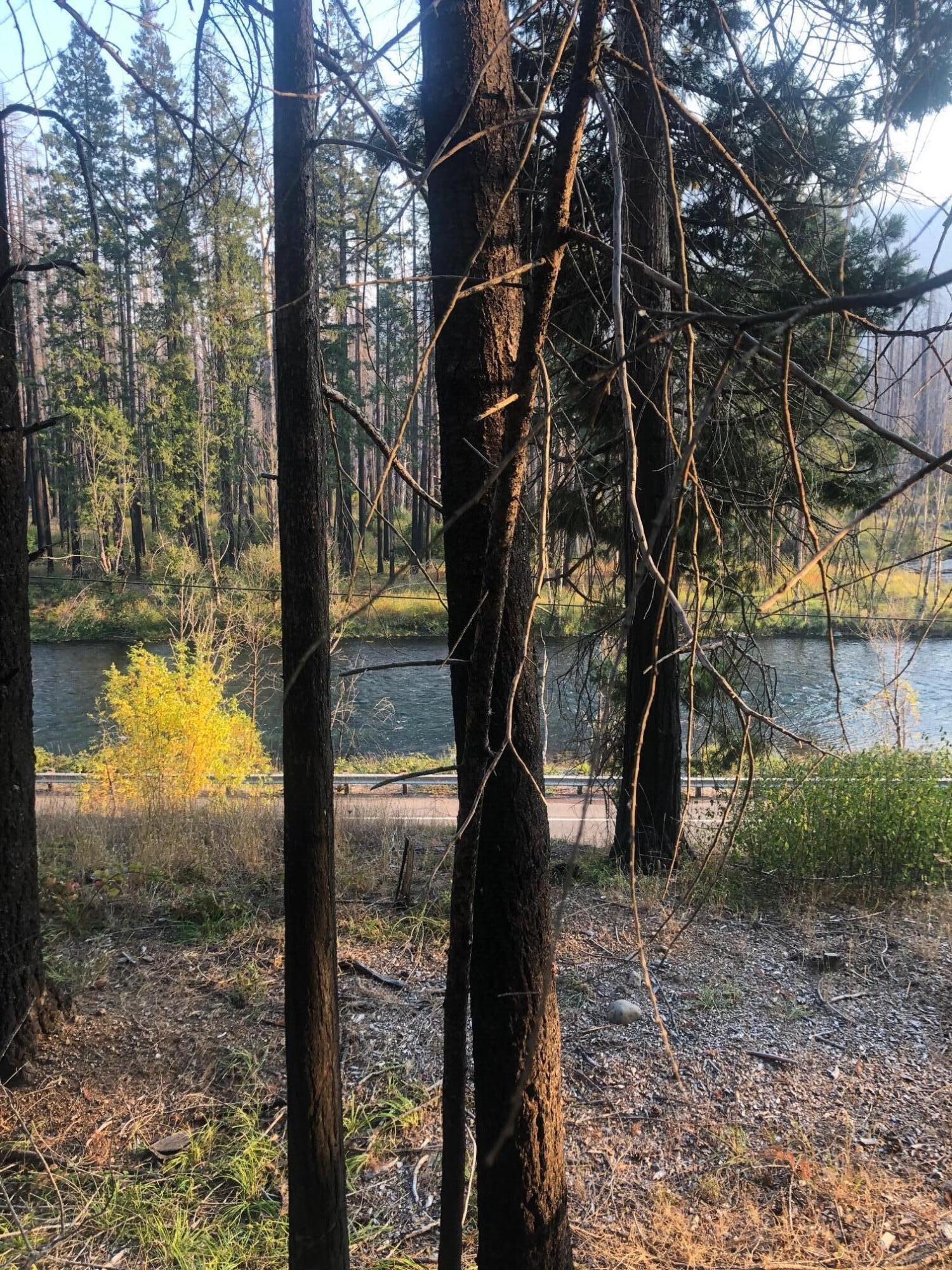 91591 Blue River Reservoir Road