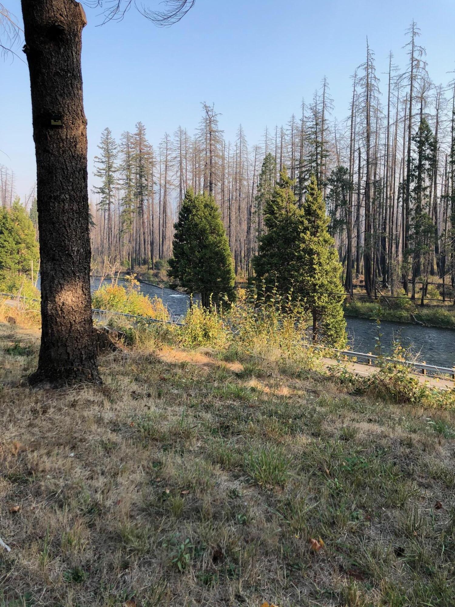 91591 Blue River Reservoir Road