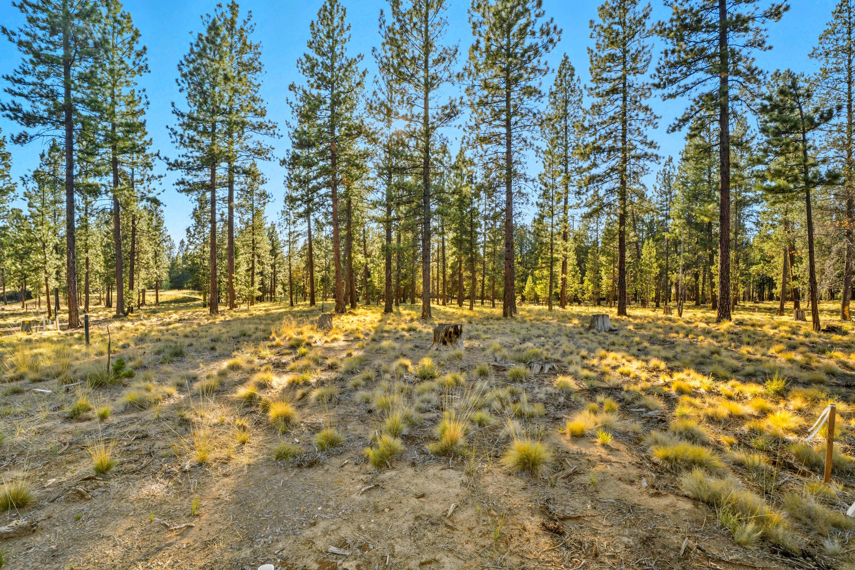 56545 Elk Run Drive 528