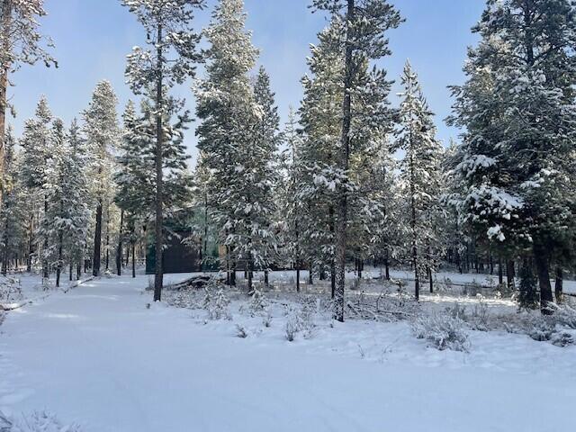 Deschutes River Recreation Homesites - Land