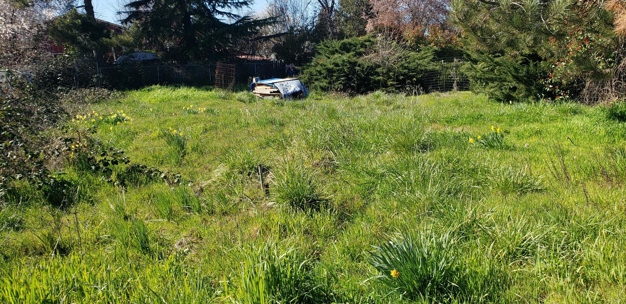 Weldon Subdivision - Residential