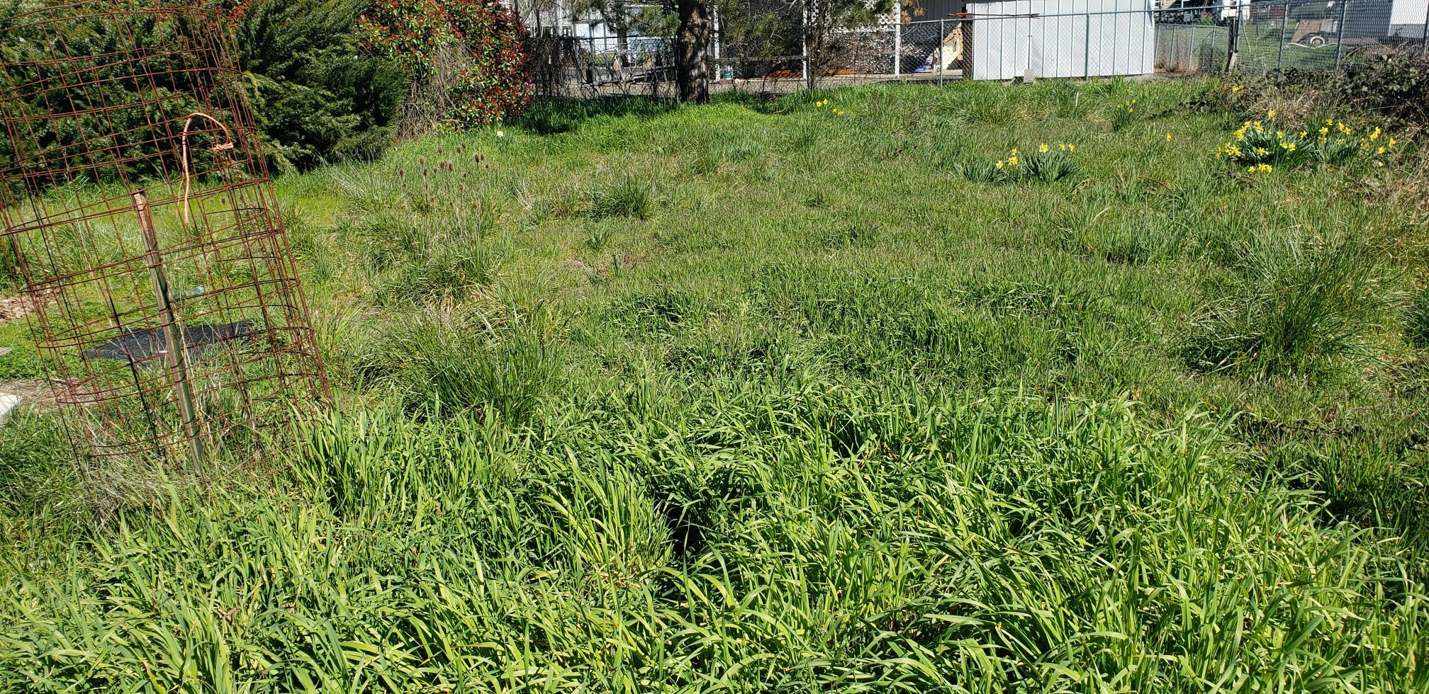 Weldon Subdivision - Residential