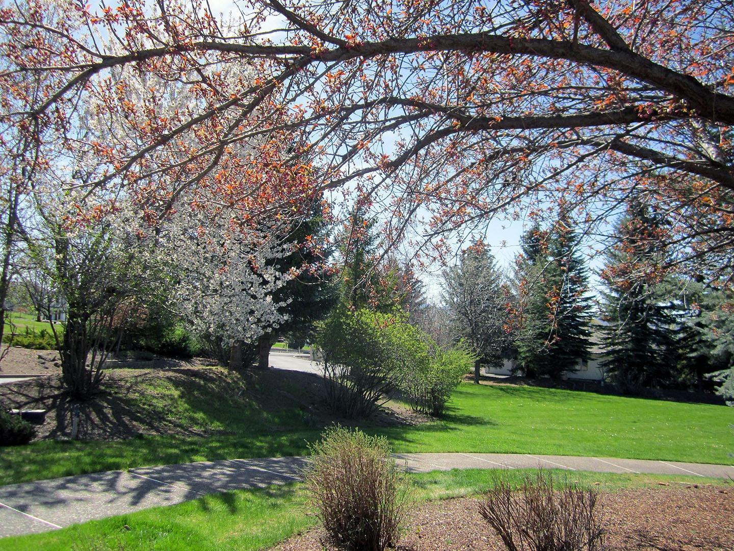 Shield Crest - Residential