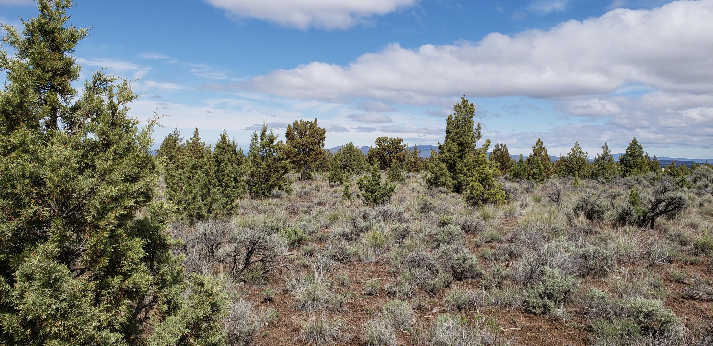 Juniper Acres - Land