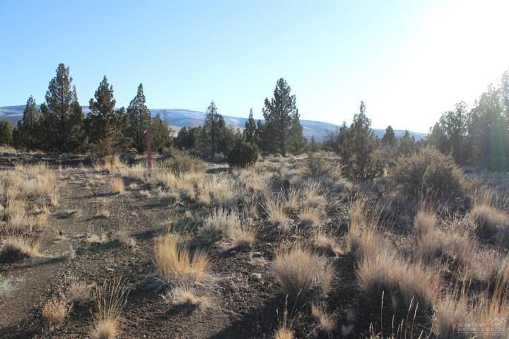 Juniper Acres - Land