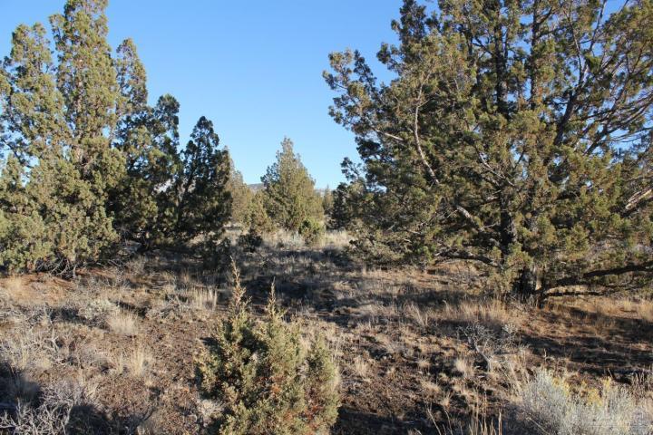 Juniper Acres - Land