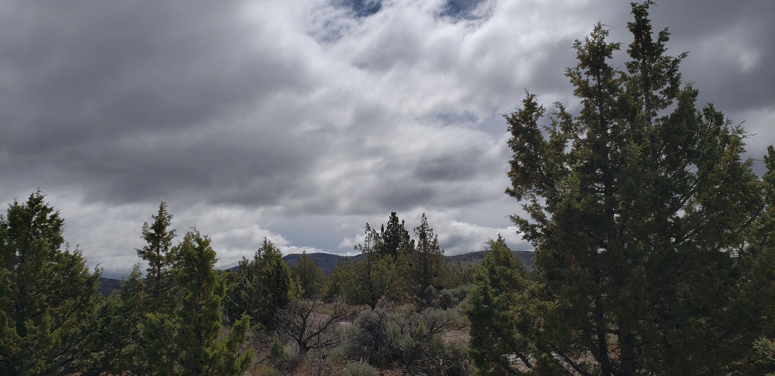 Juniper Acres - Land