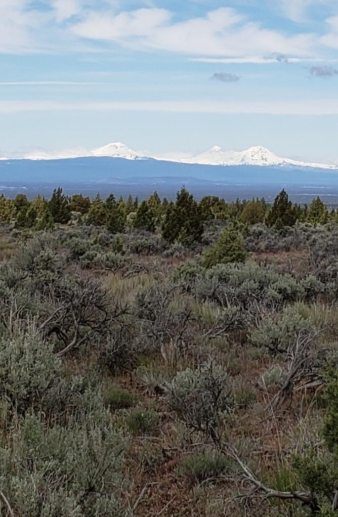 Juniper Acres - Land