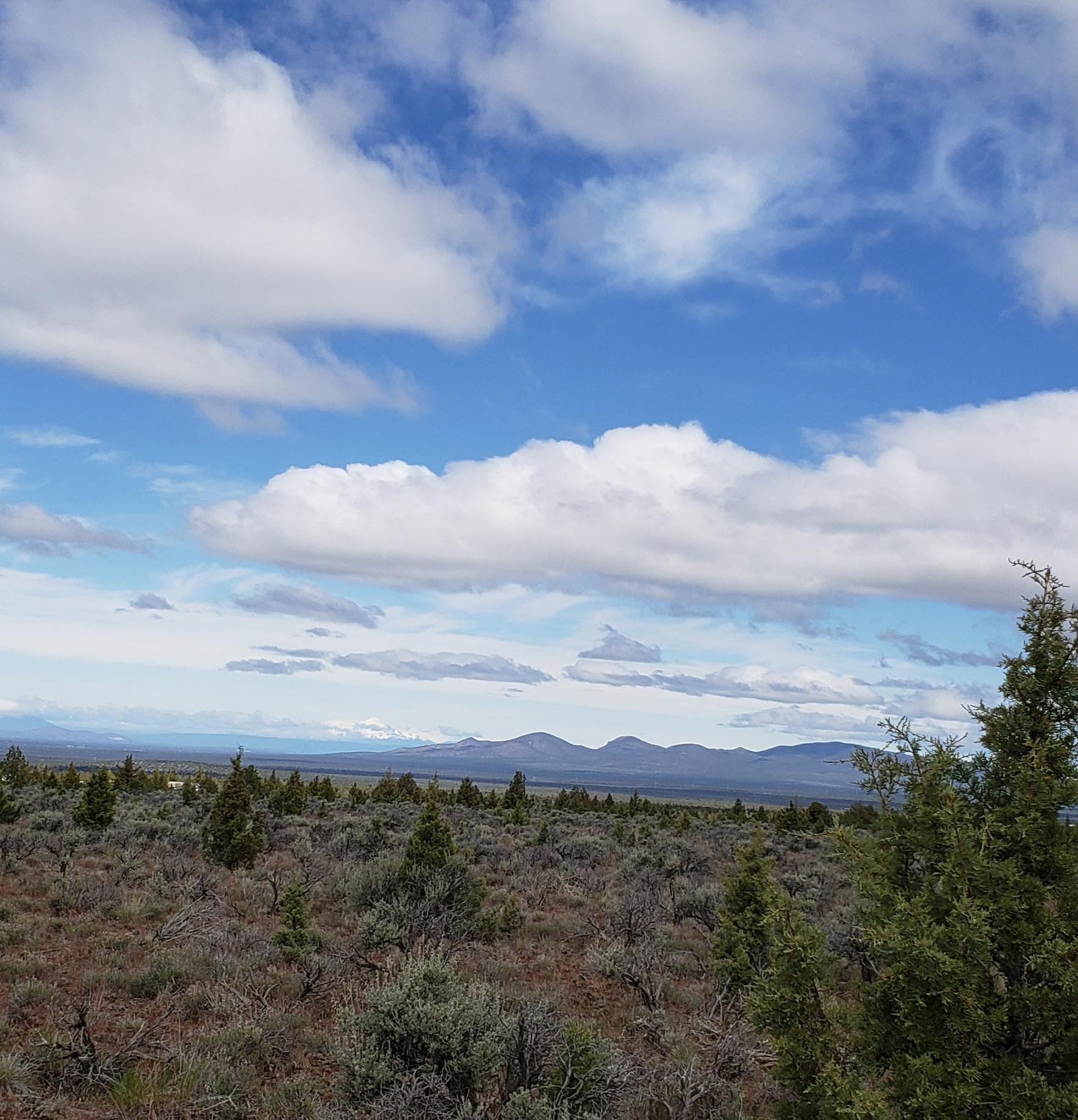 Juniper Acres - Land