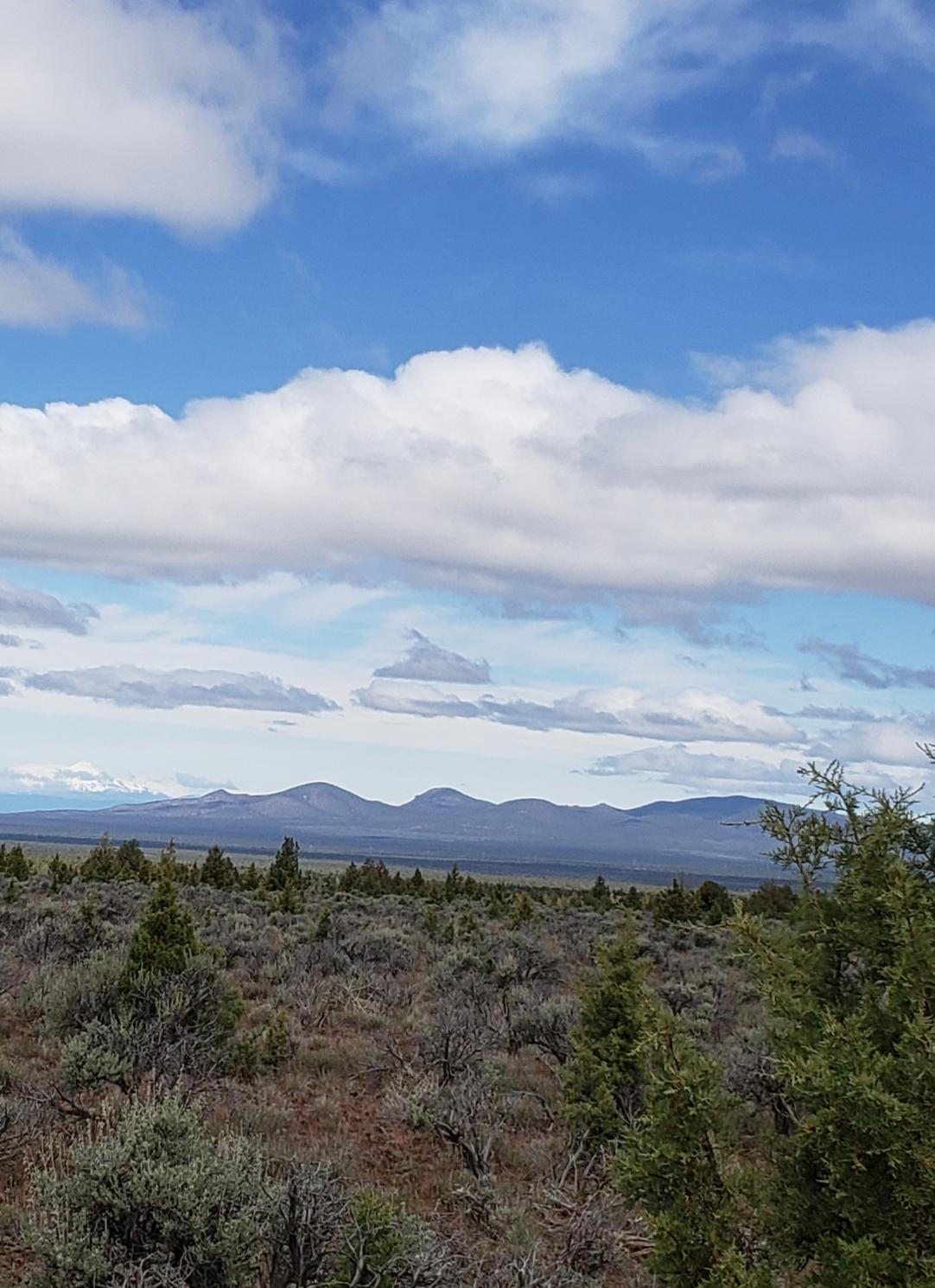 Juniper Acres - Land