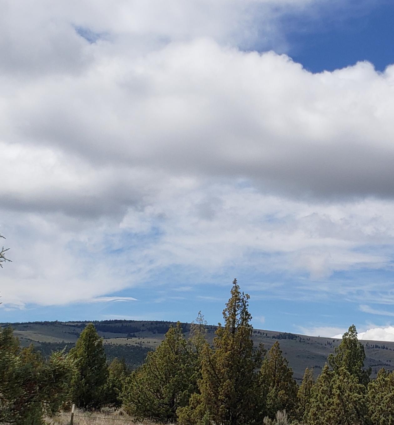 Juniper Acres - Land