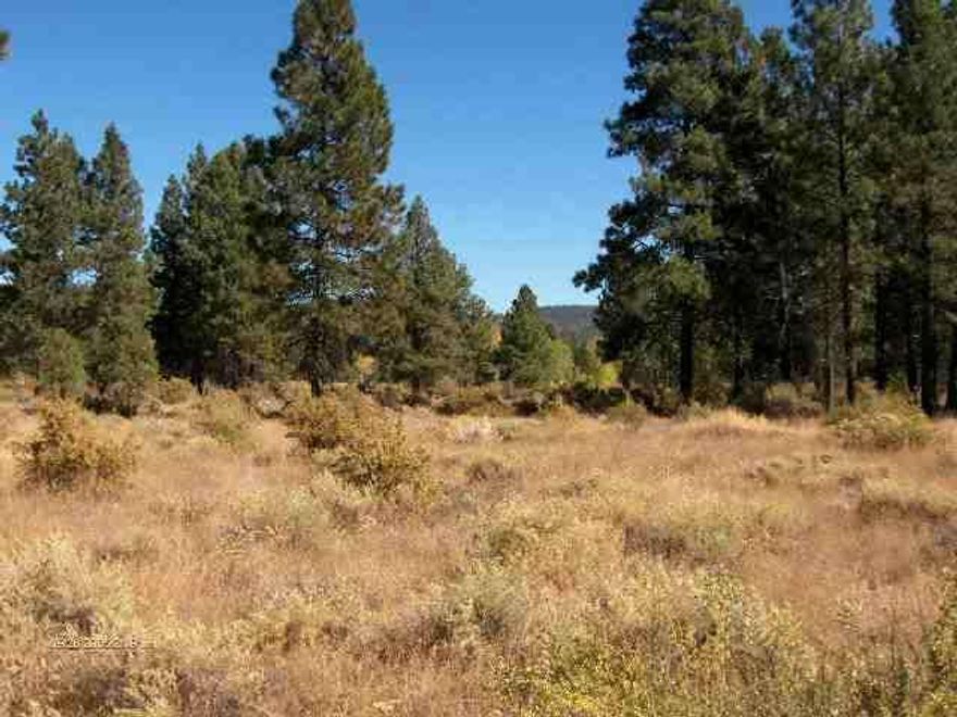 Come See This New Chiloquin/Agency Lake Subdivision. 2 Acre Lots, Pines, Aspens, Paved Roads, Buried Utilities Ccr's- Stick Built Homes Only, Level And Absolutely Beautiful. Good Well & Pump House.