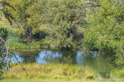 Tiny photo for 55967 Wood Duck Drive, Bend, OR 97707 (MLS # 220214808)