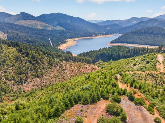 UPPER COW CREEK RD, AZALEA, OR 97410 - Image 227f18be2d3c142c9ebf2bdd9c94a8e4/4037099533