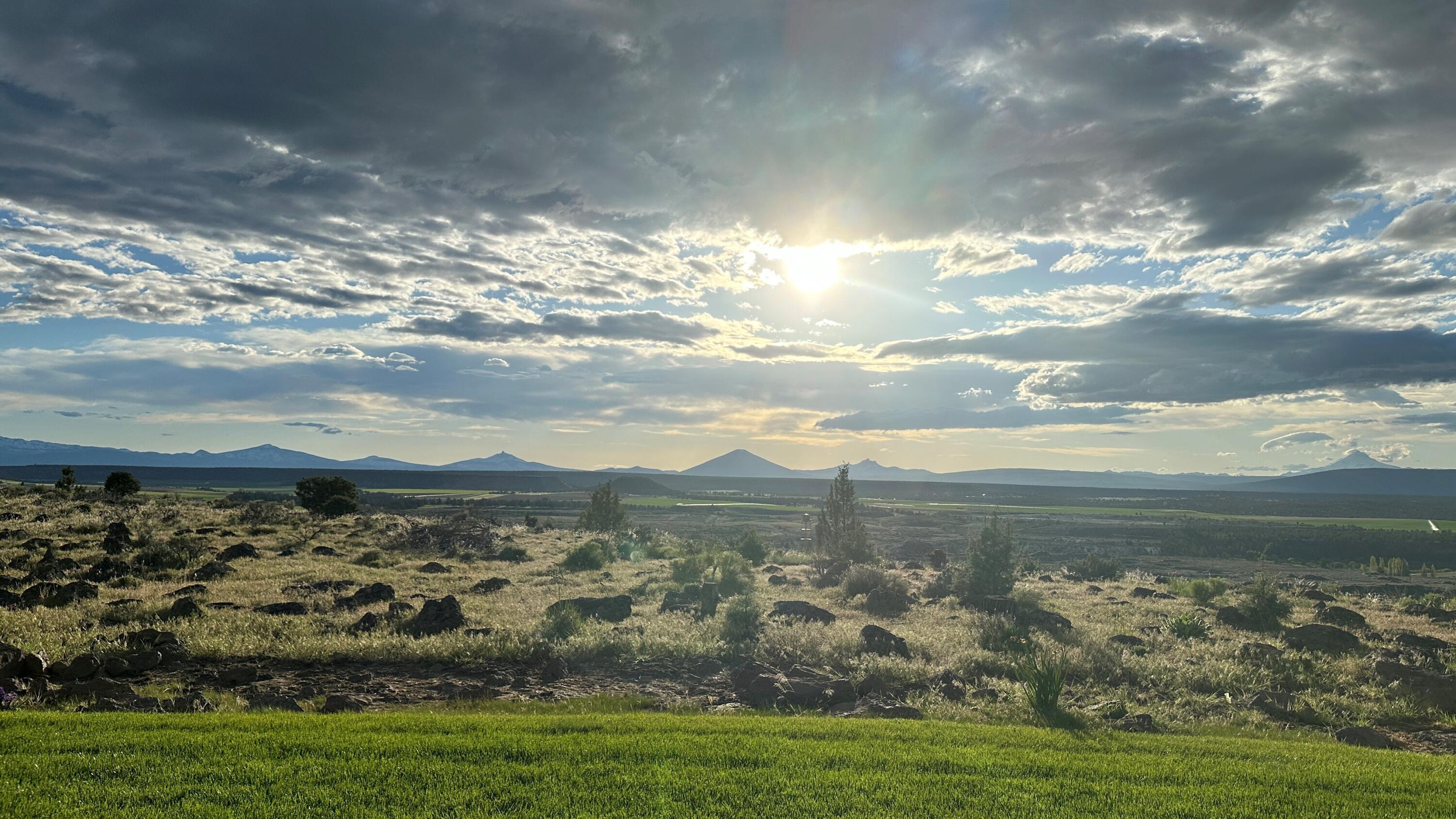 Lower Bridge Estate - Residential