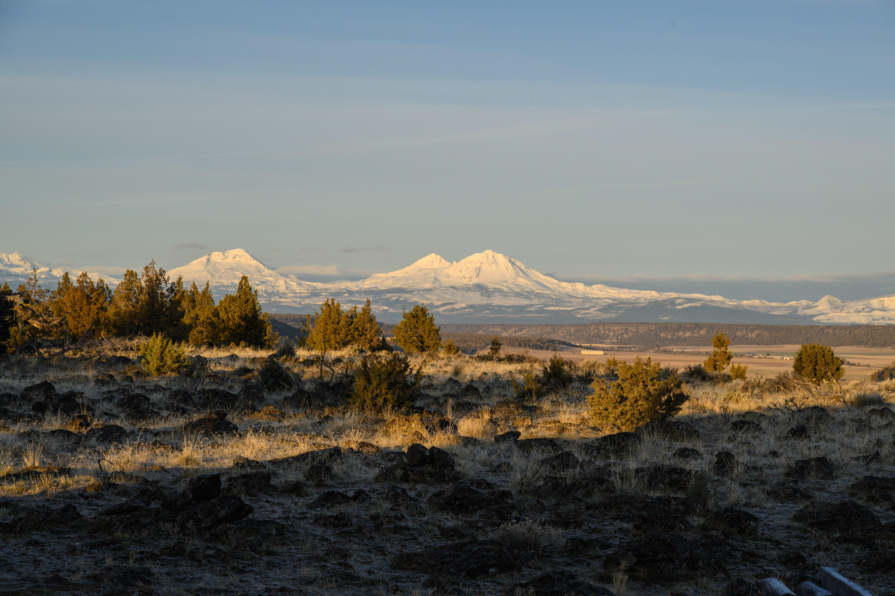 Lower Bridge Estate - Residential