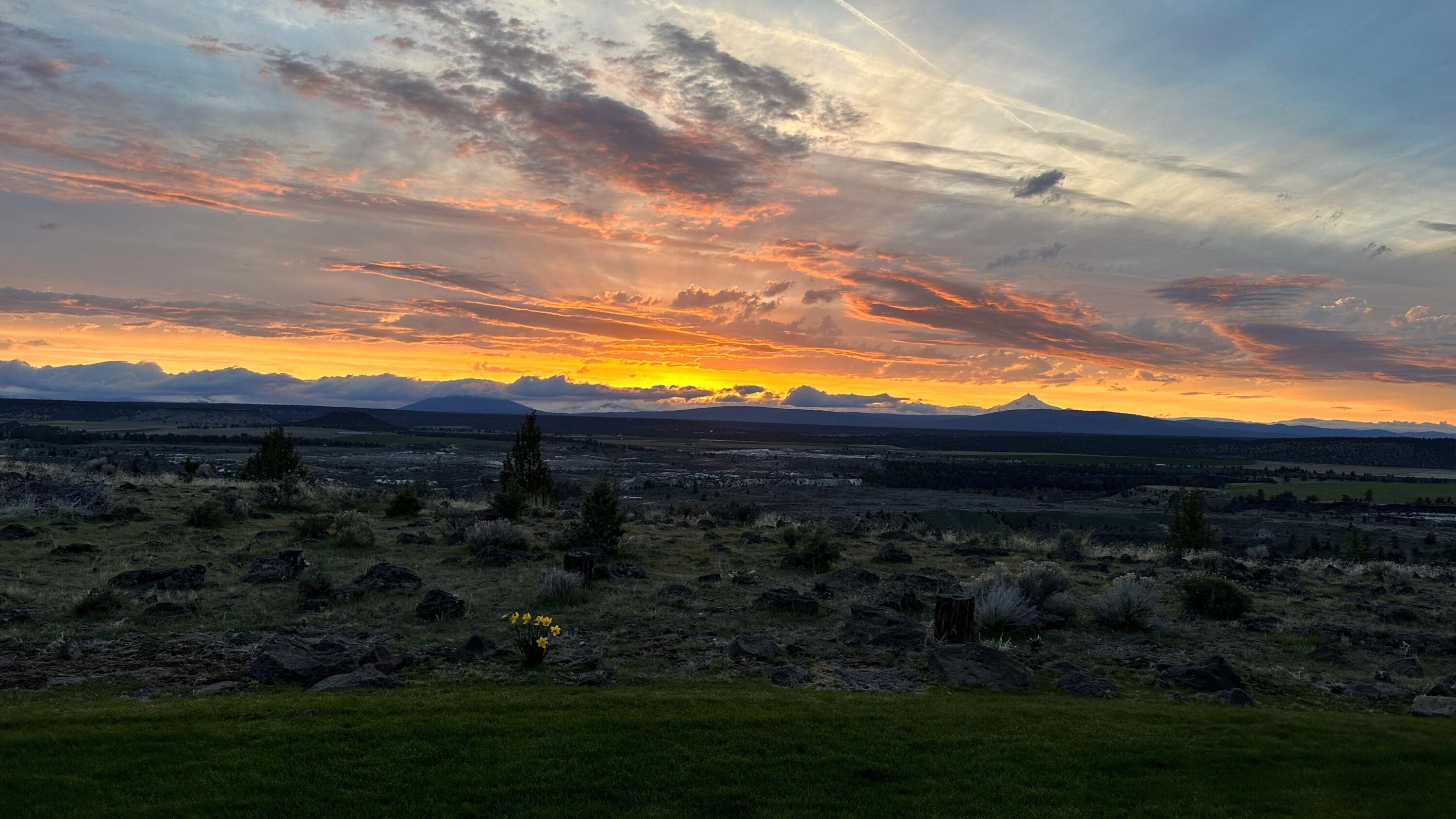 Lower Bridge Estate - Residential