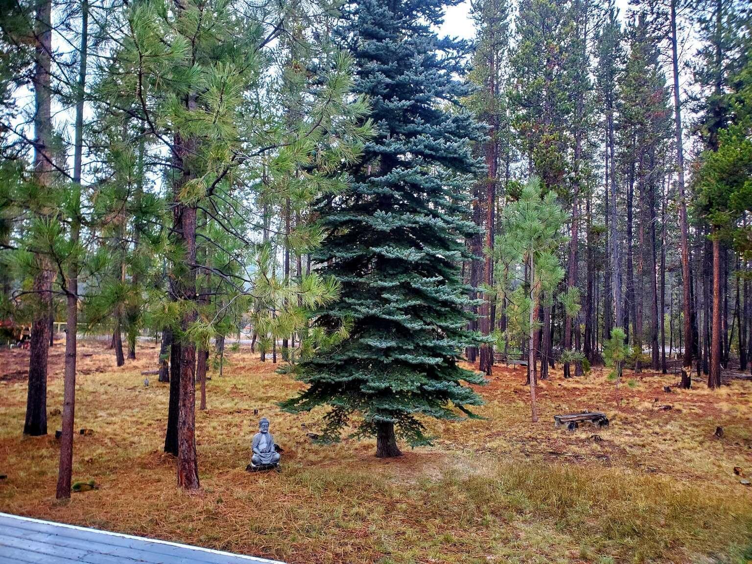 Deschutes River Cros - Residential
