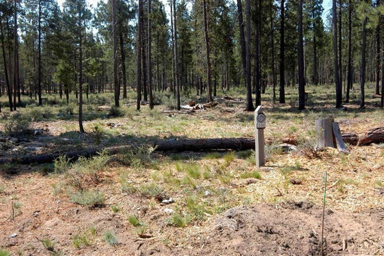 Caldera Springs - Land